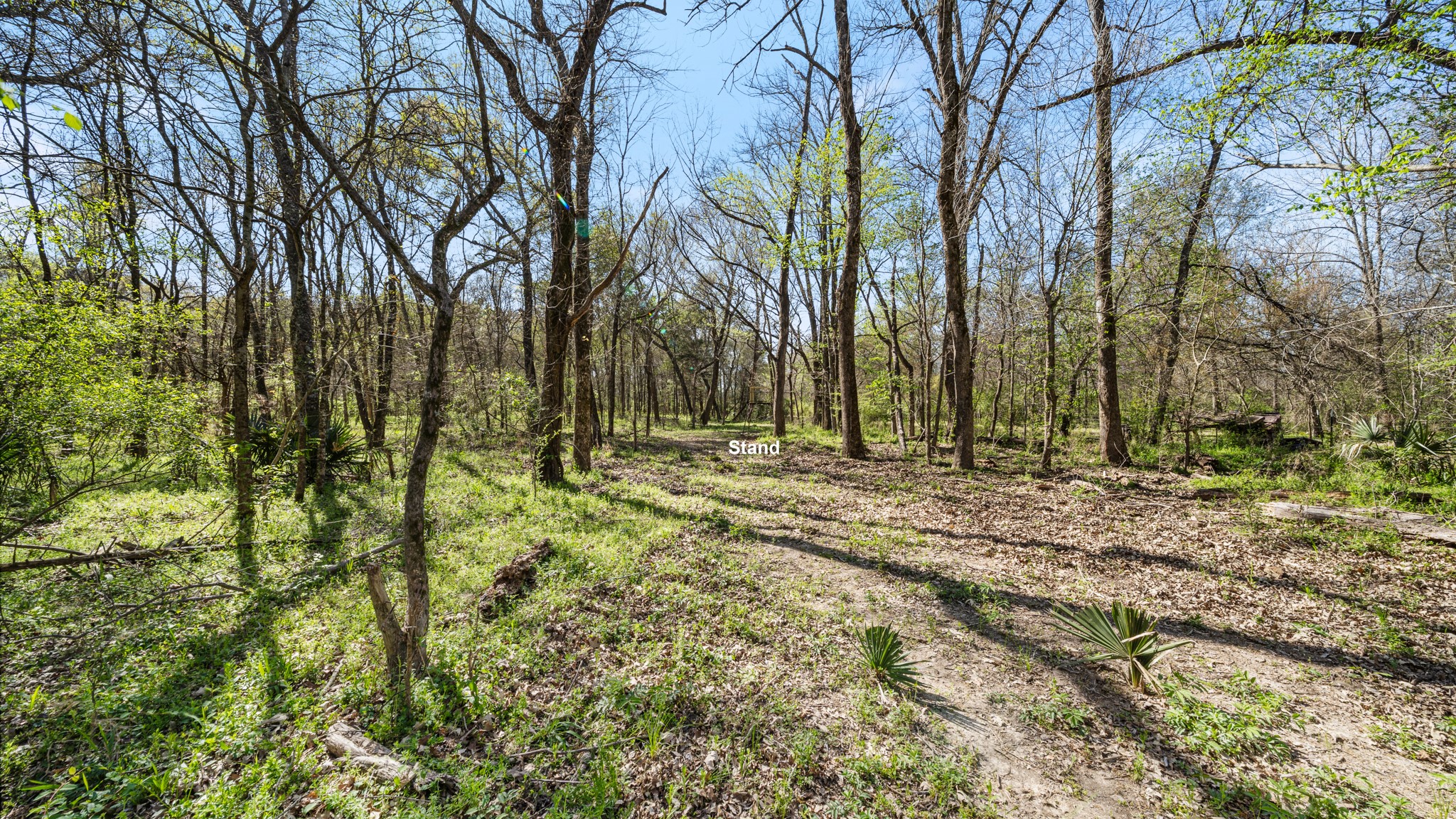 TBD County Road 462, Mineola, TX, 75773