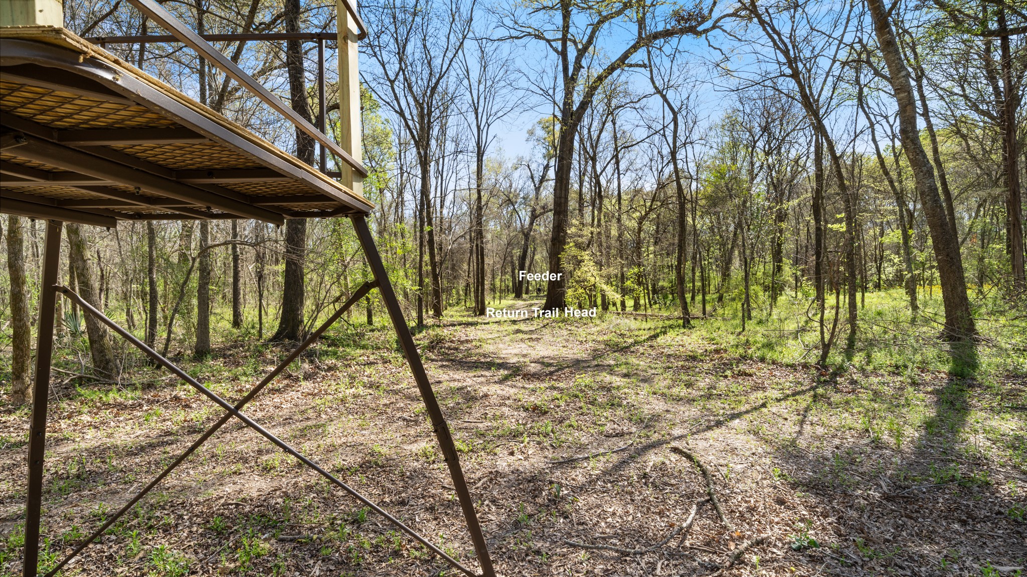 TBD County Road 462, Mineola, TX, 75773