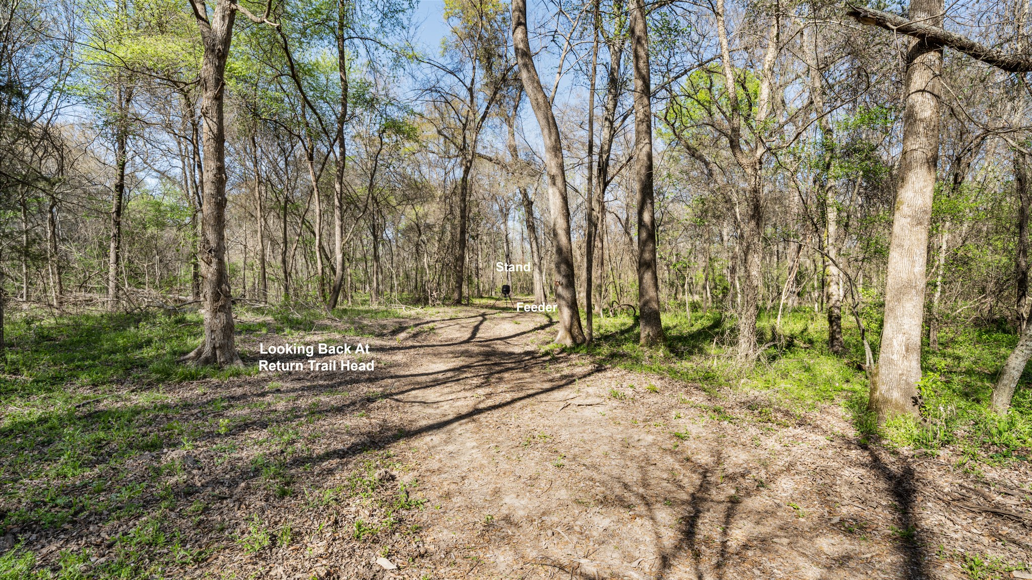 TBD County Road 462, Mineola, TX, 75773