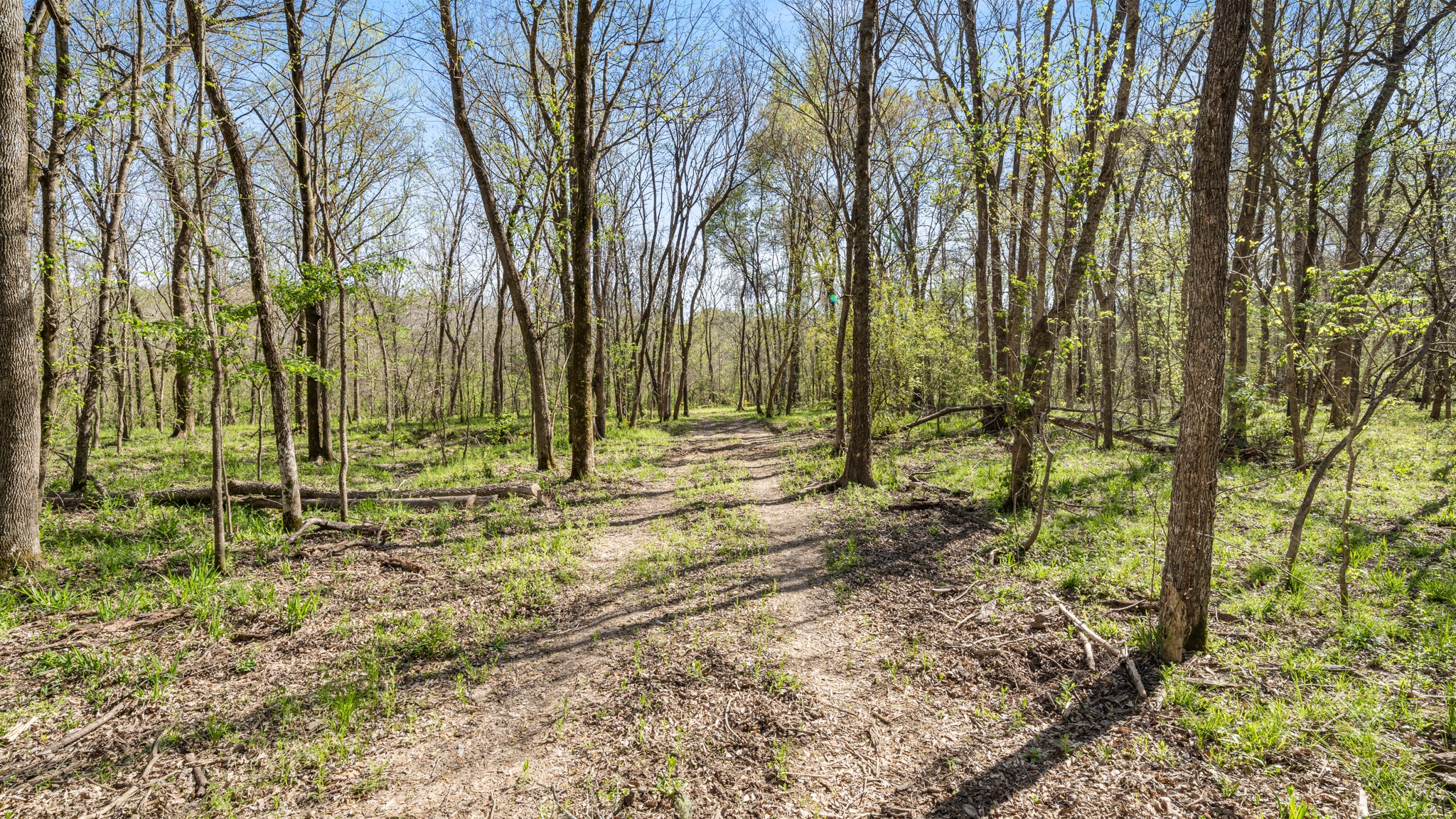 TBD County Road 462, Mineola, TX, 75773