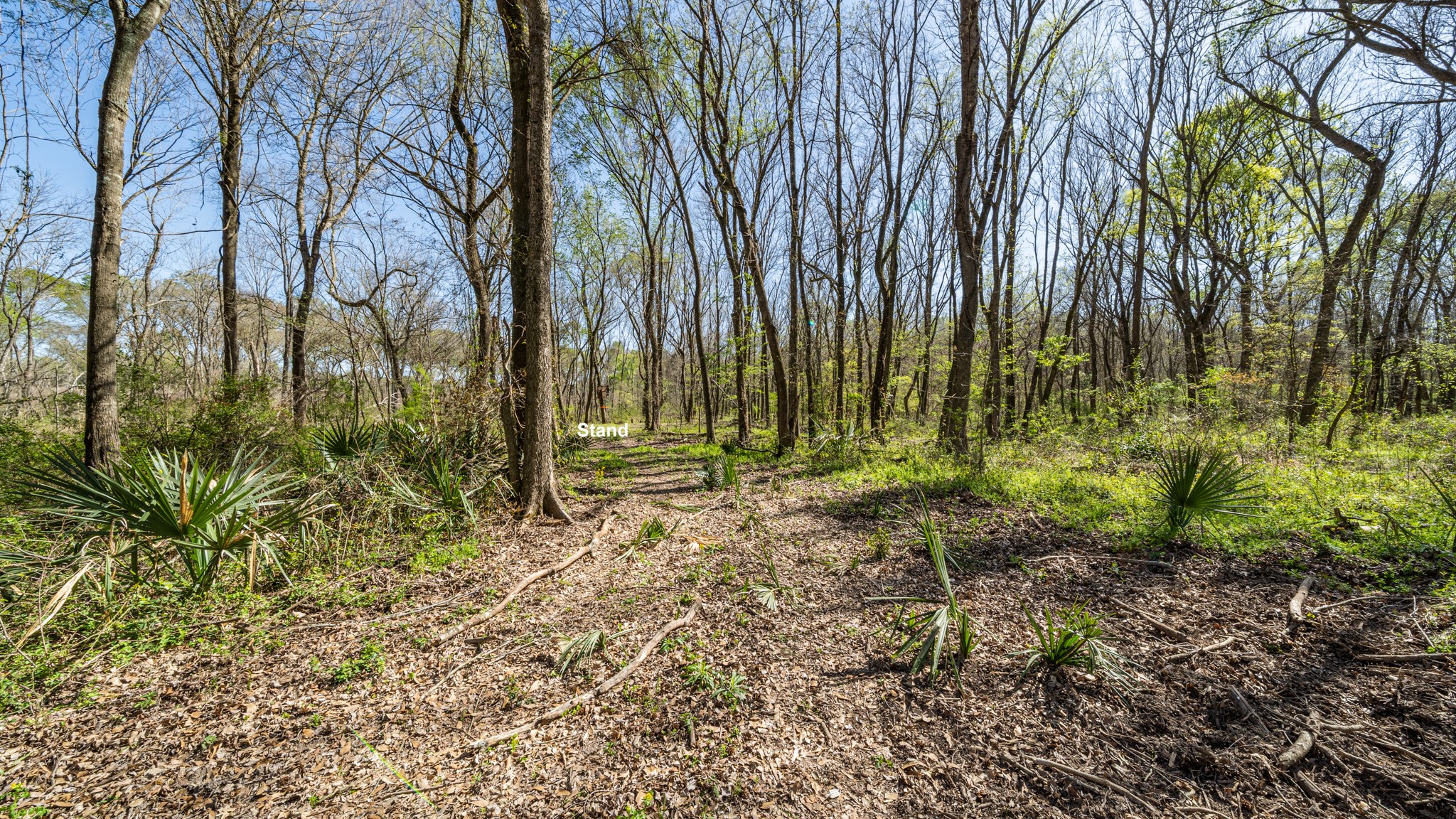TBD County Road 462, Mineola, TX, 75773