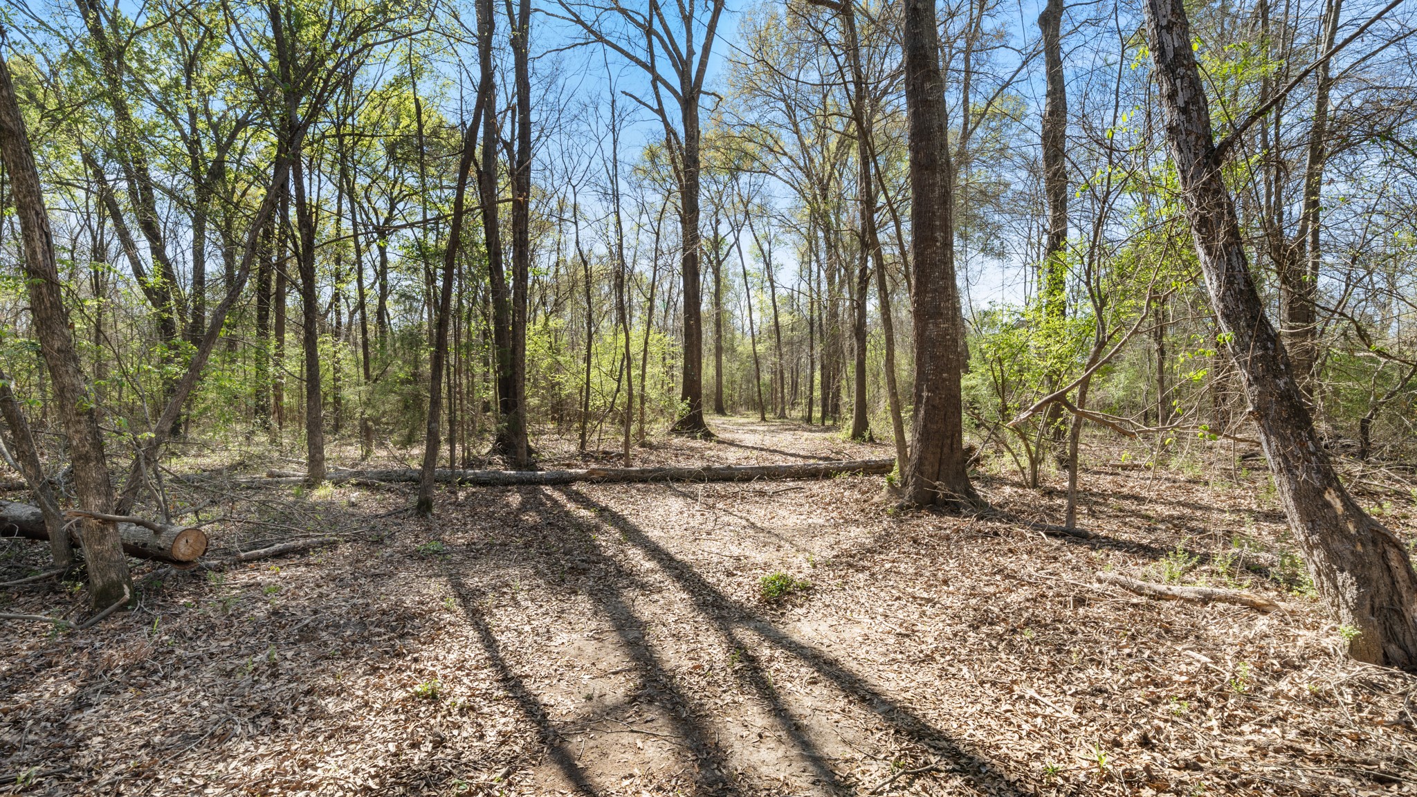 TBD County Road 462, Mineola, TX, 75773