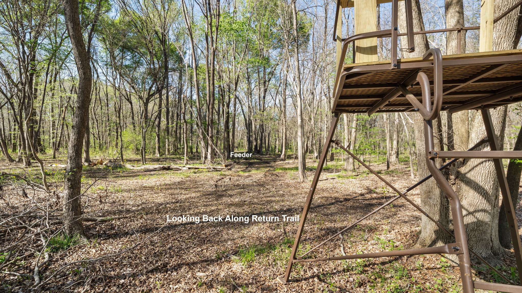 TBD County Road 462, Mineola, TX, 75773