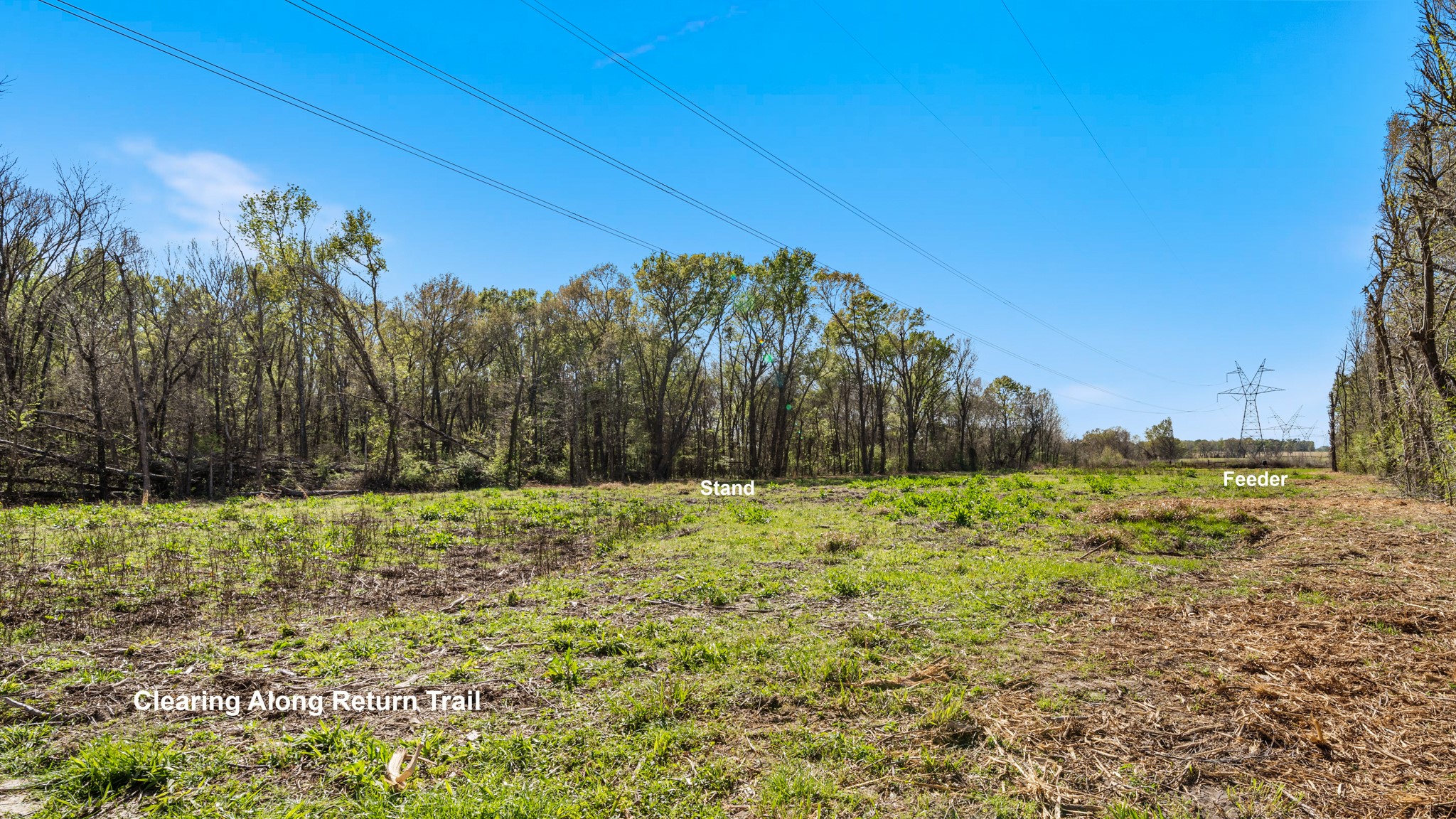 TBD County Road 462, Mineola, TX, 75773