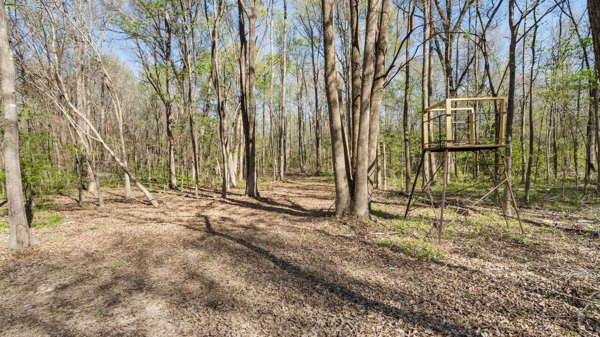 TBD County Road 462, Mineola, TX, 75773