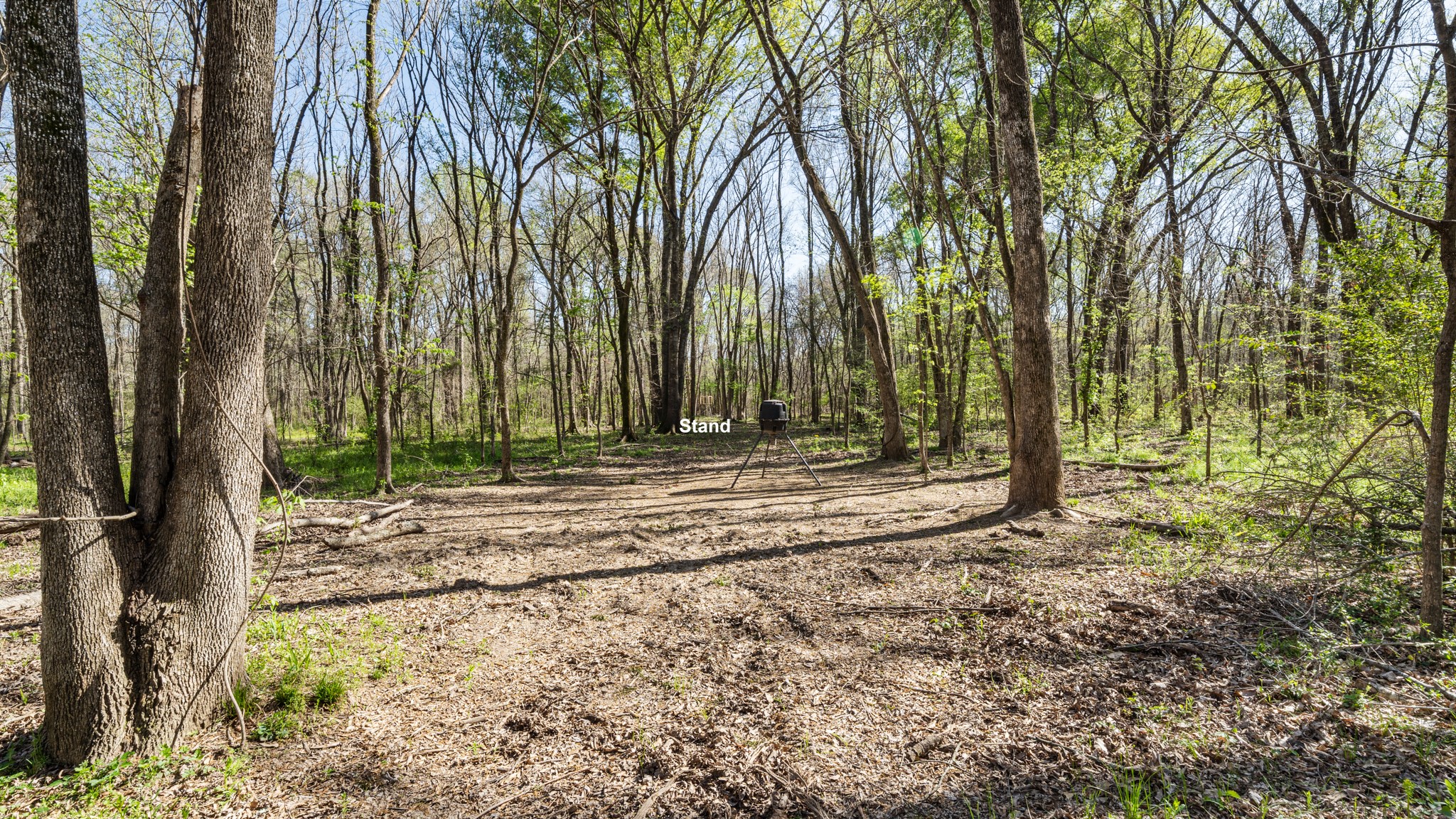 TBD County Road 462, Mineola, TX, 75773