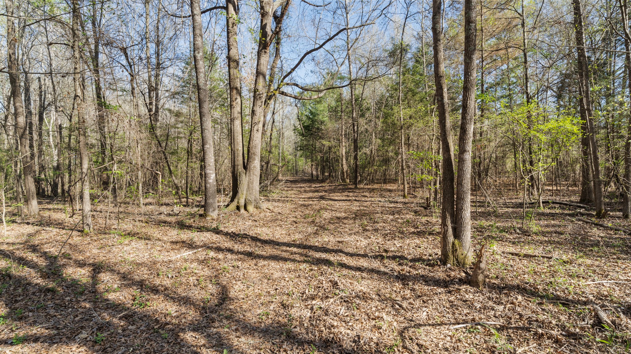TBD County Road 462, Mineola, TX, 75773