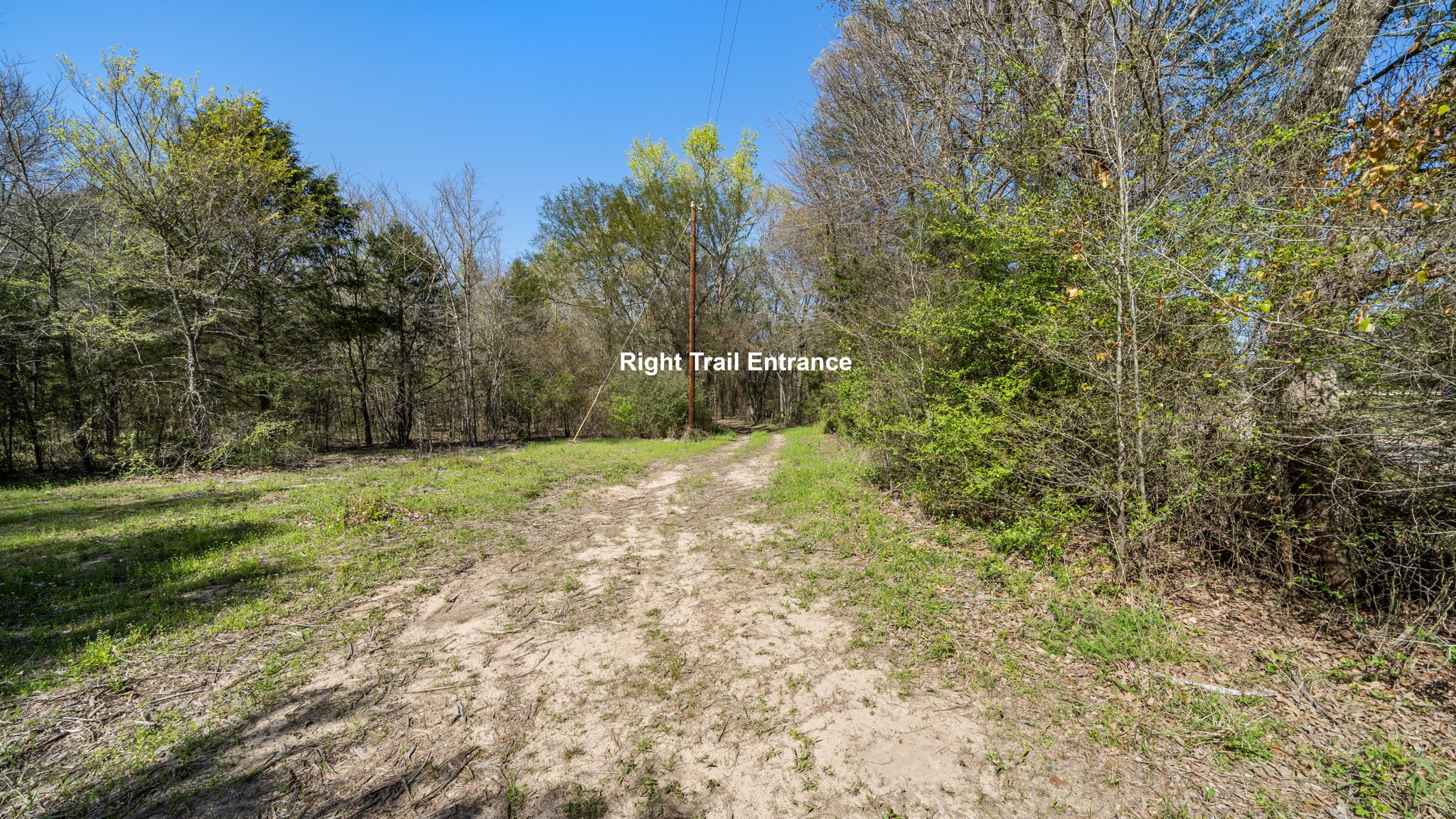 TBD County Road 462, Mineola, TX, 75773