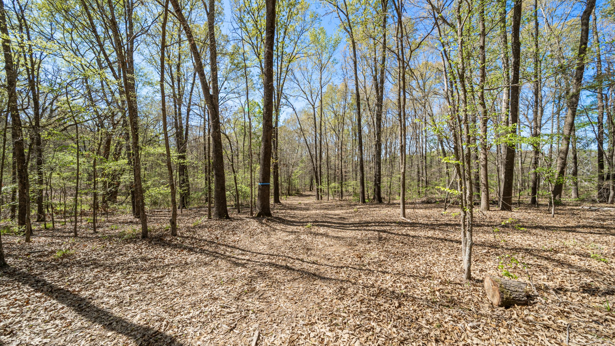 TBD County Road 462, Mineola, TX, 75773