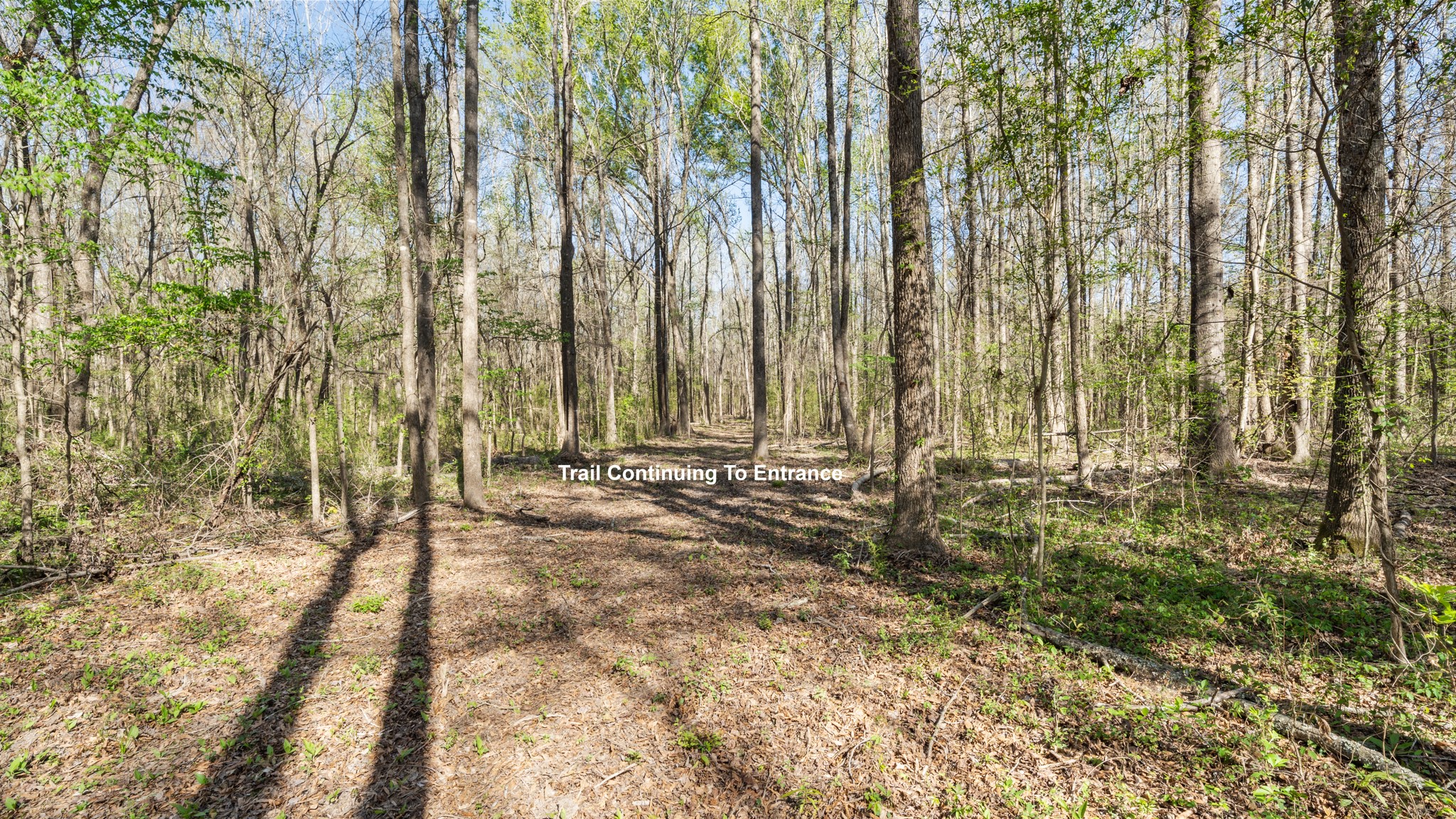 TBD County Road 462, Mineola, TX, 75773