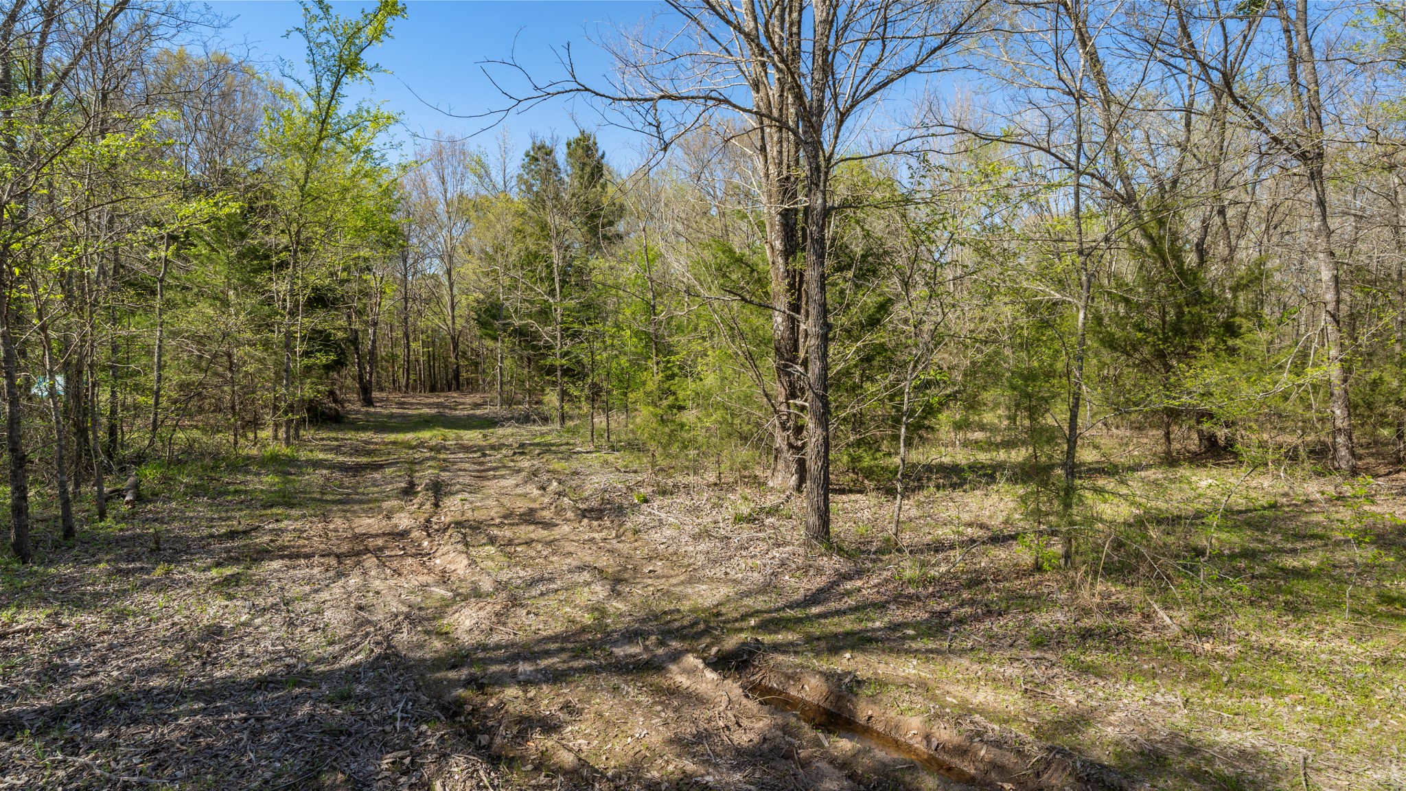 TBD County Road 462, Mineola, TX, 75773