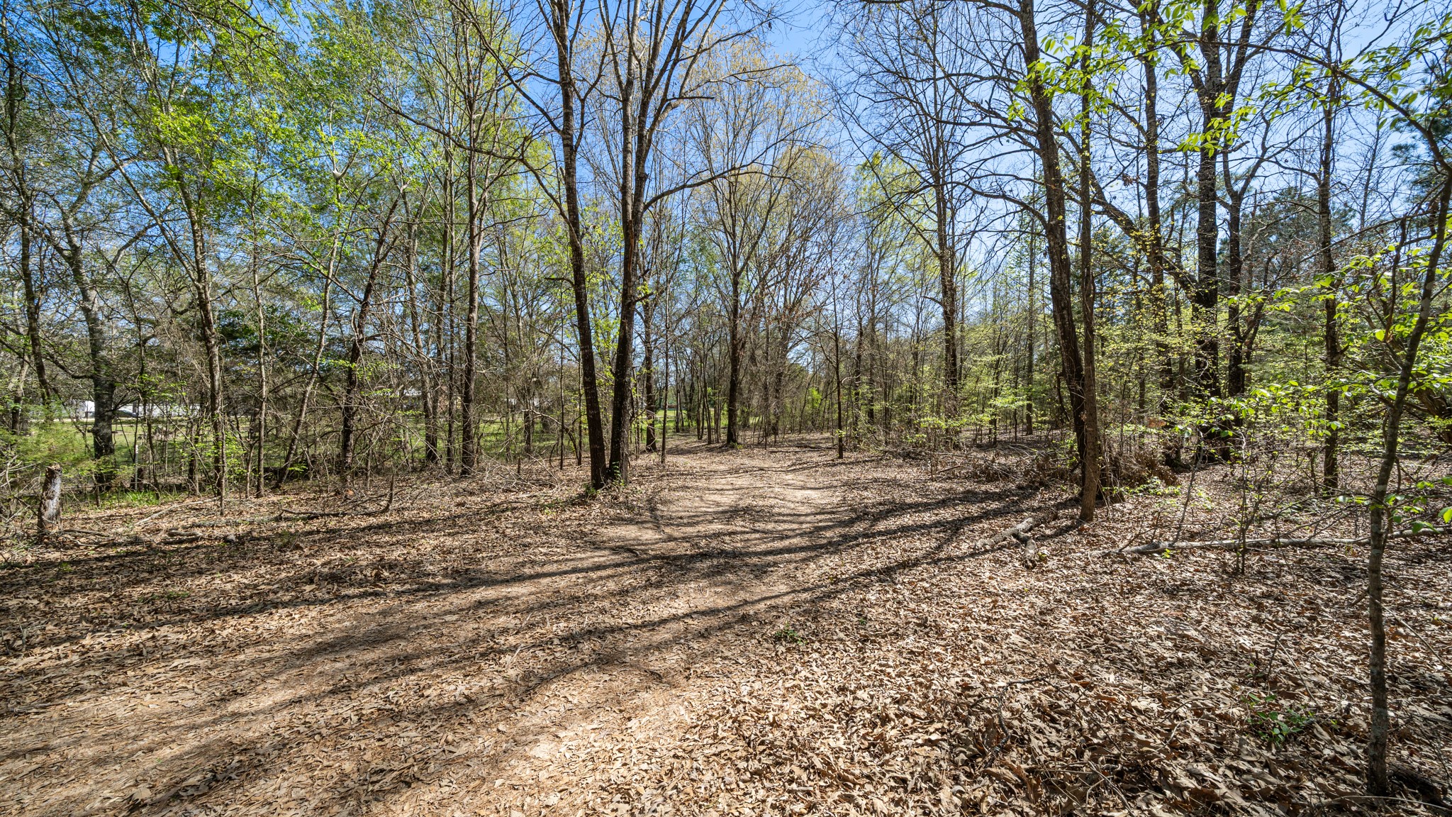 TBD County Road 462, Mineola, TX, 75773