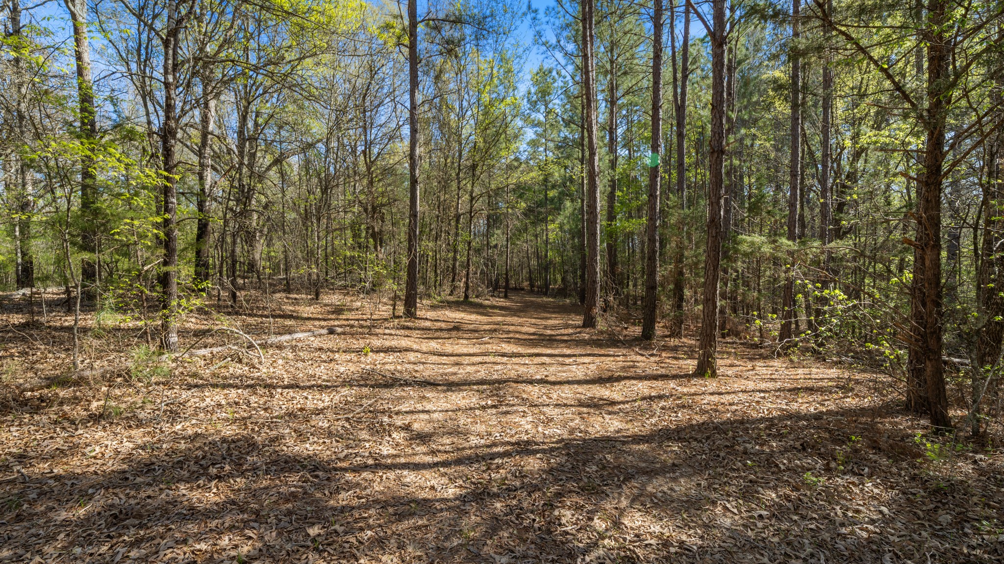TBD County Road 462, Mineola, TX, 75773