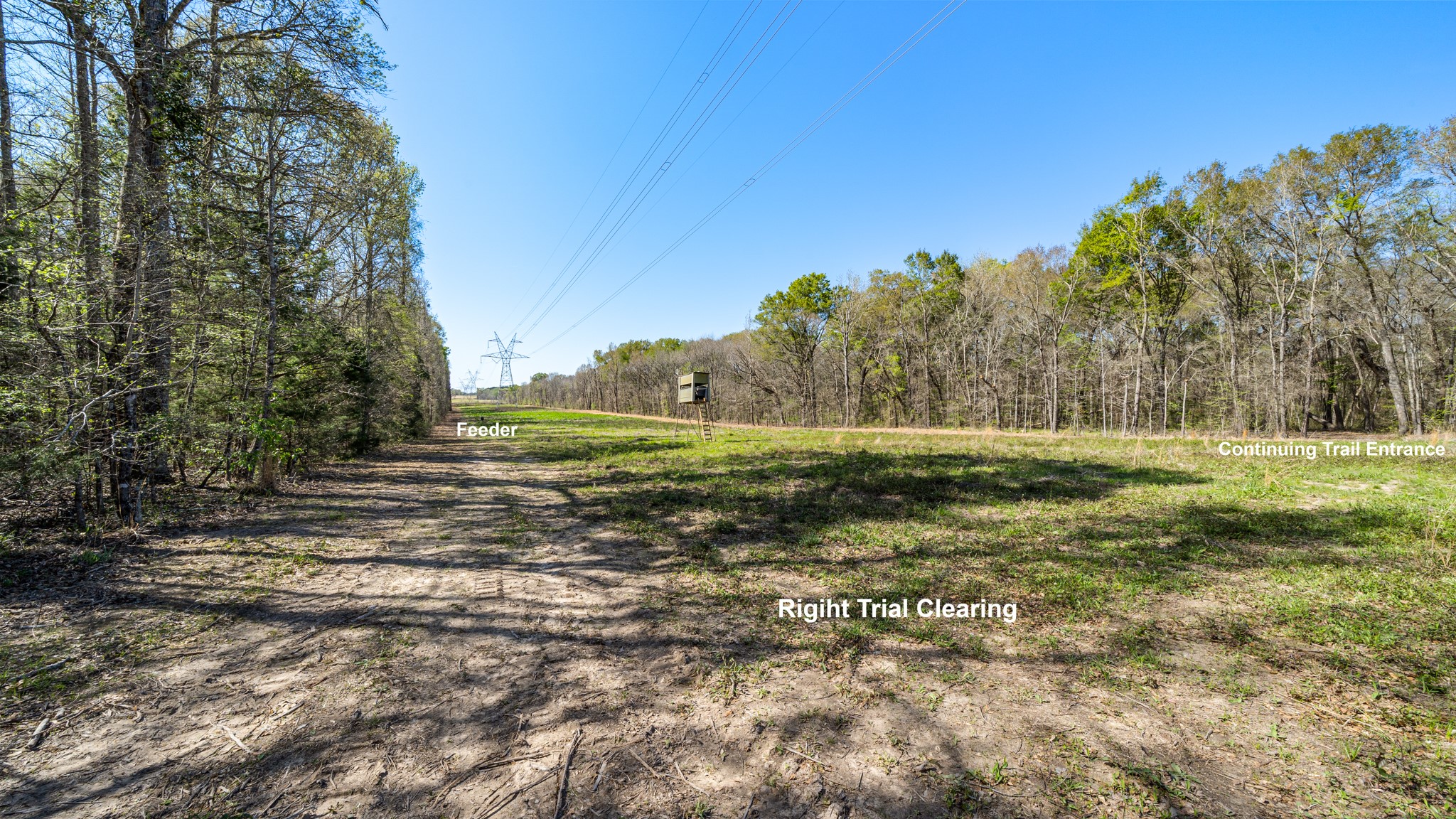 TBD County Road 462, Mineola, TX, 75773