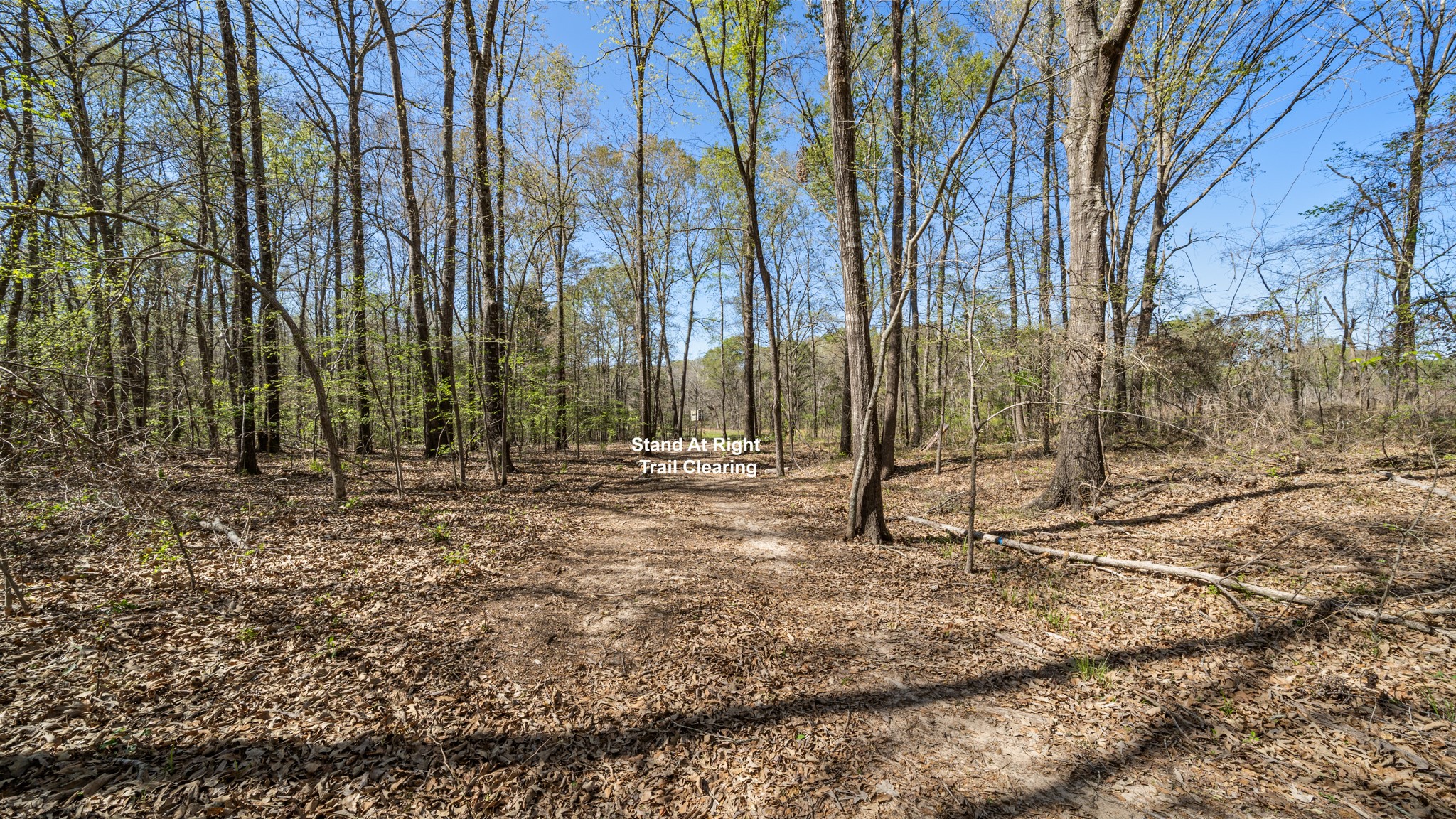 TBD County Road 462, Mineola, TX, 75773