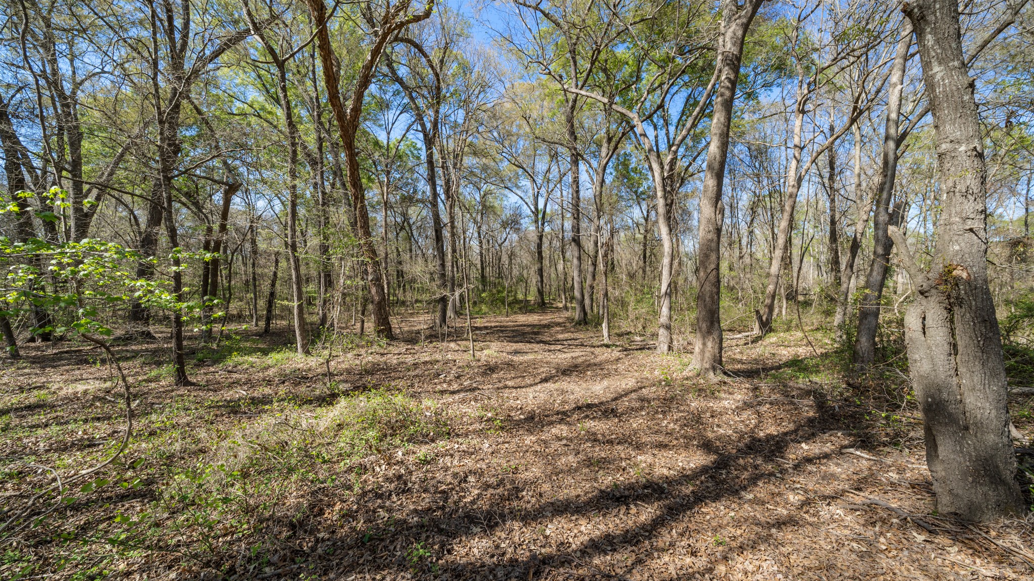 TBD County Road 462, Mineola, TX, 75773