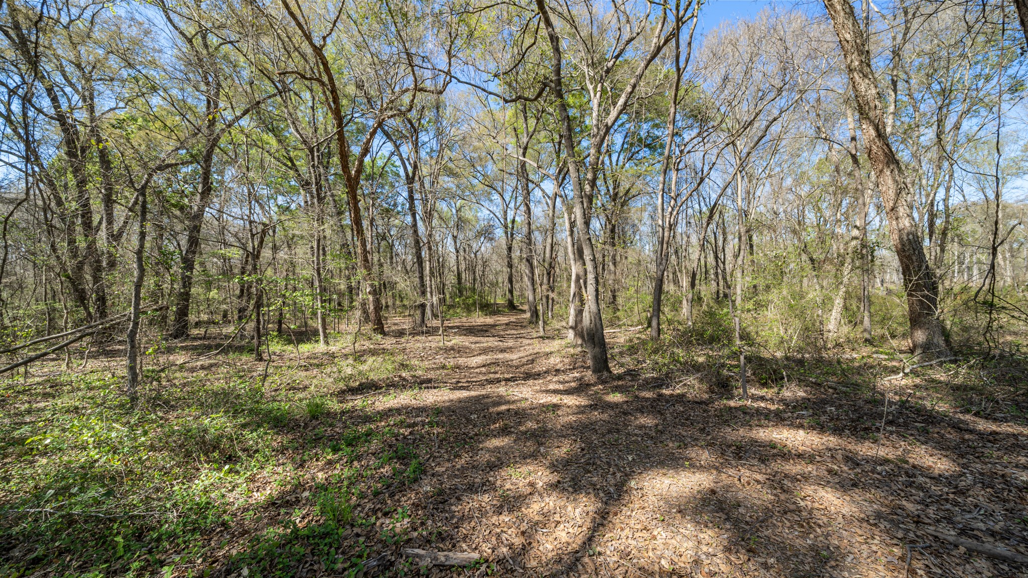 TBD County Road 462, Mineola, TX, 75773