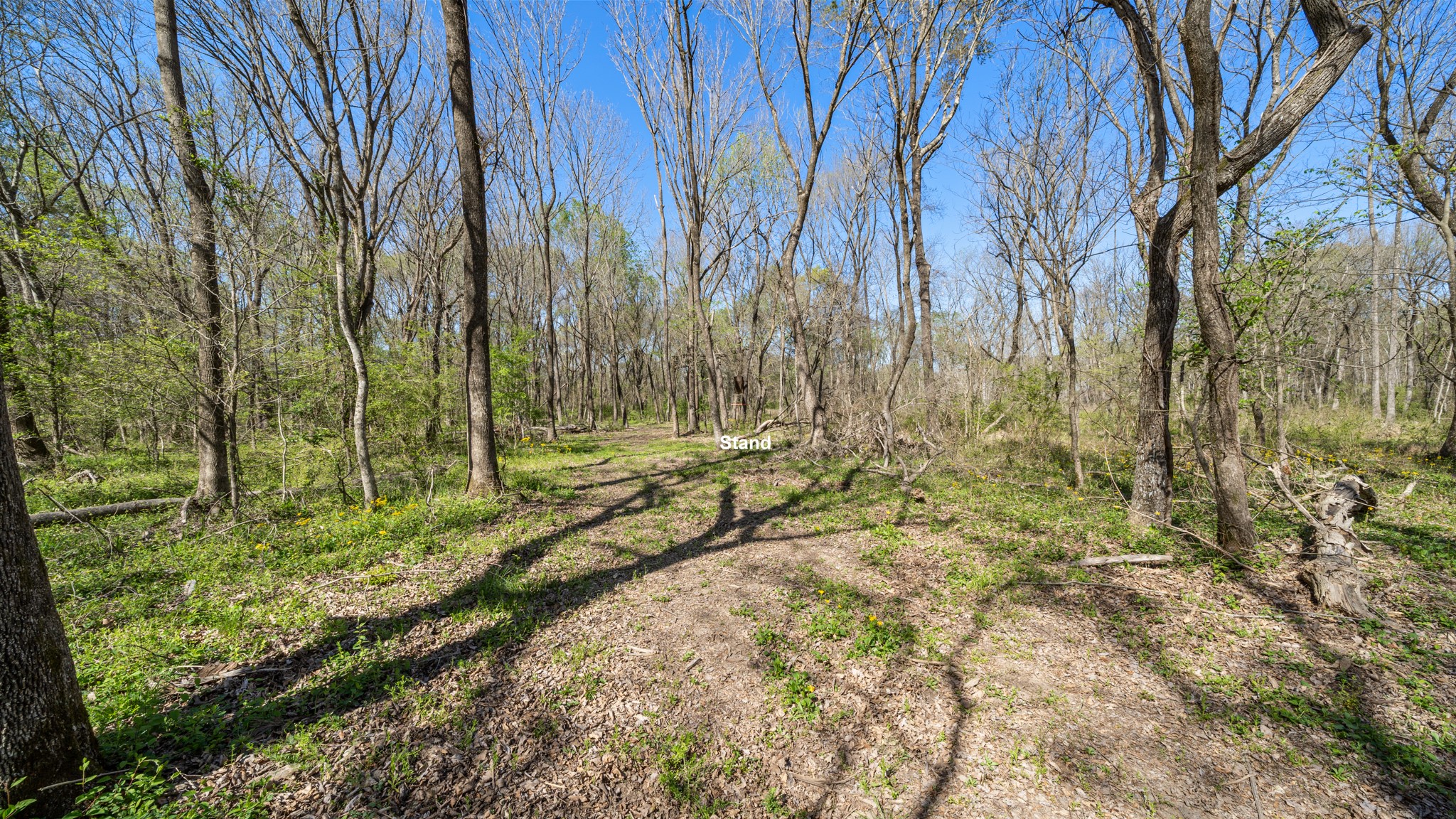 TBD County Road 462, Mineola, TX, 75773