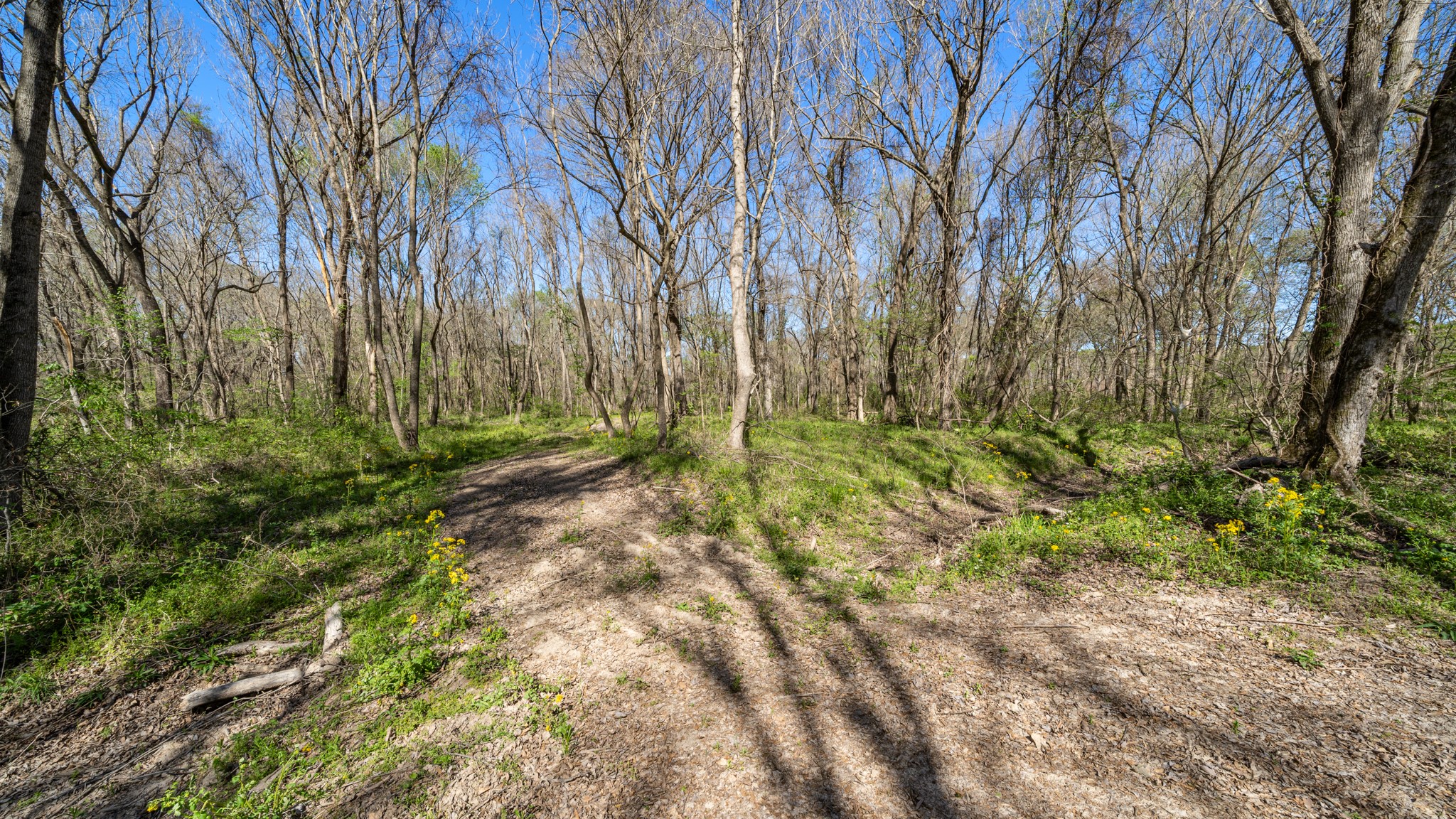 TBD County Road 462, Mineola, TX, 75773
