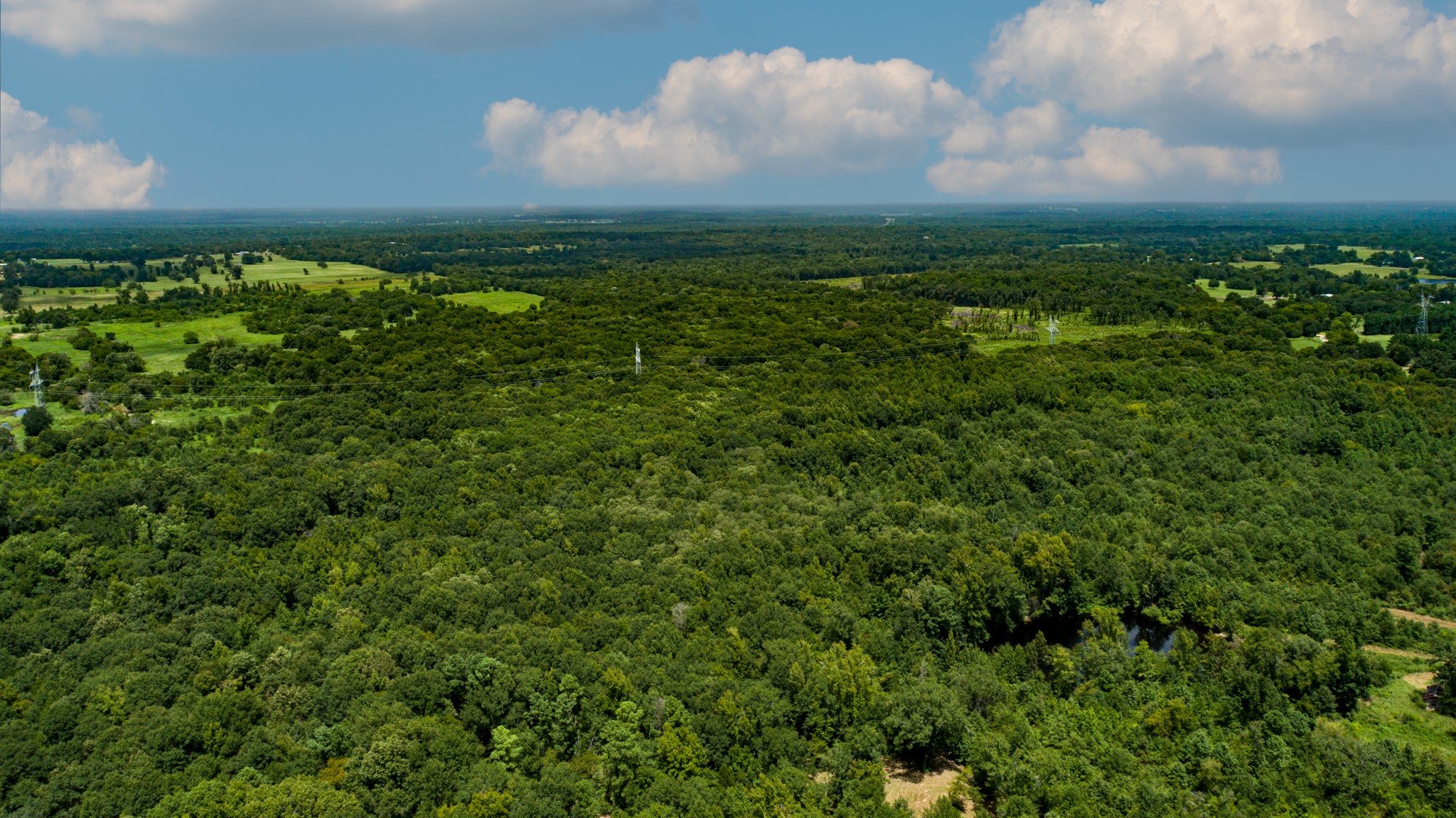 TBD County Road 462, Mineola, TX, 75773