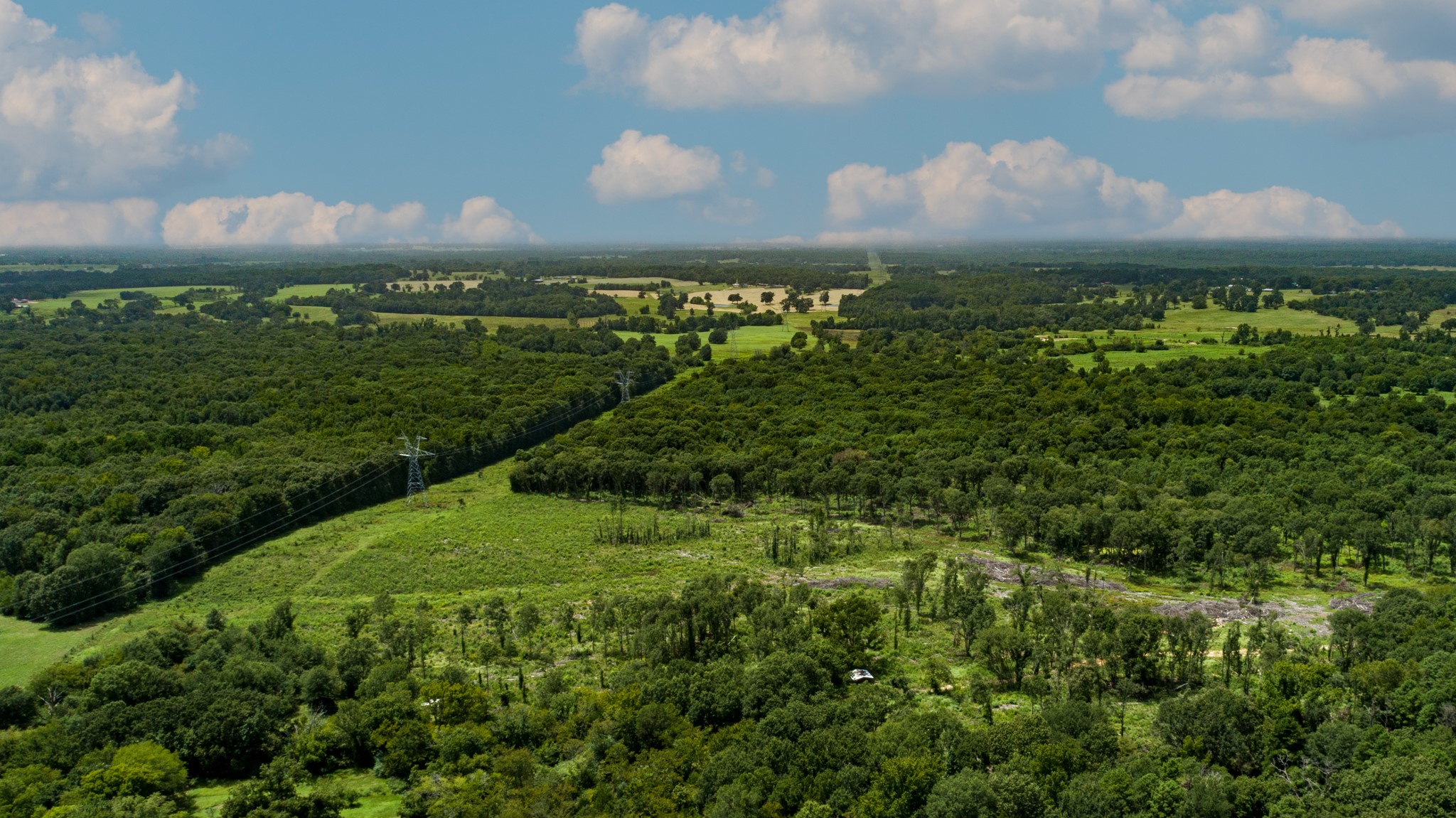 TBD County Road 462, Mineola, TX, 75773