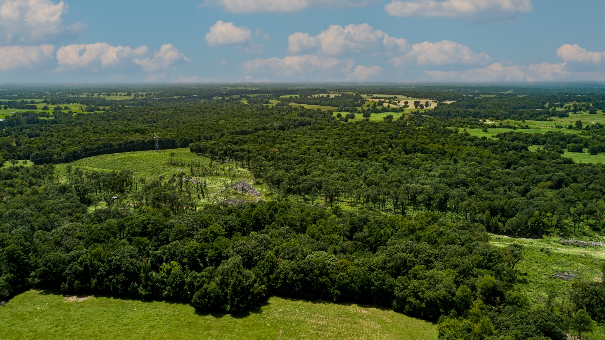 TBD County Road 462, Mineola, TX, 75773
