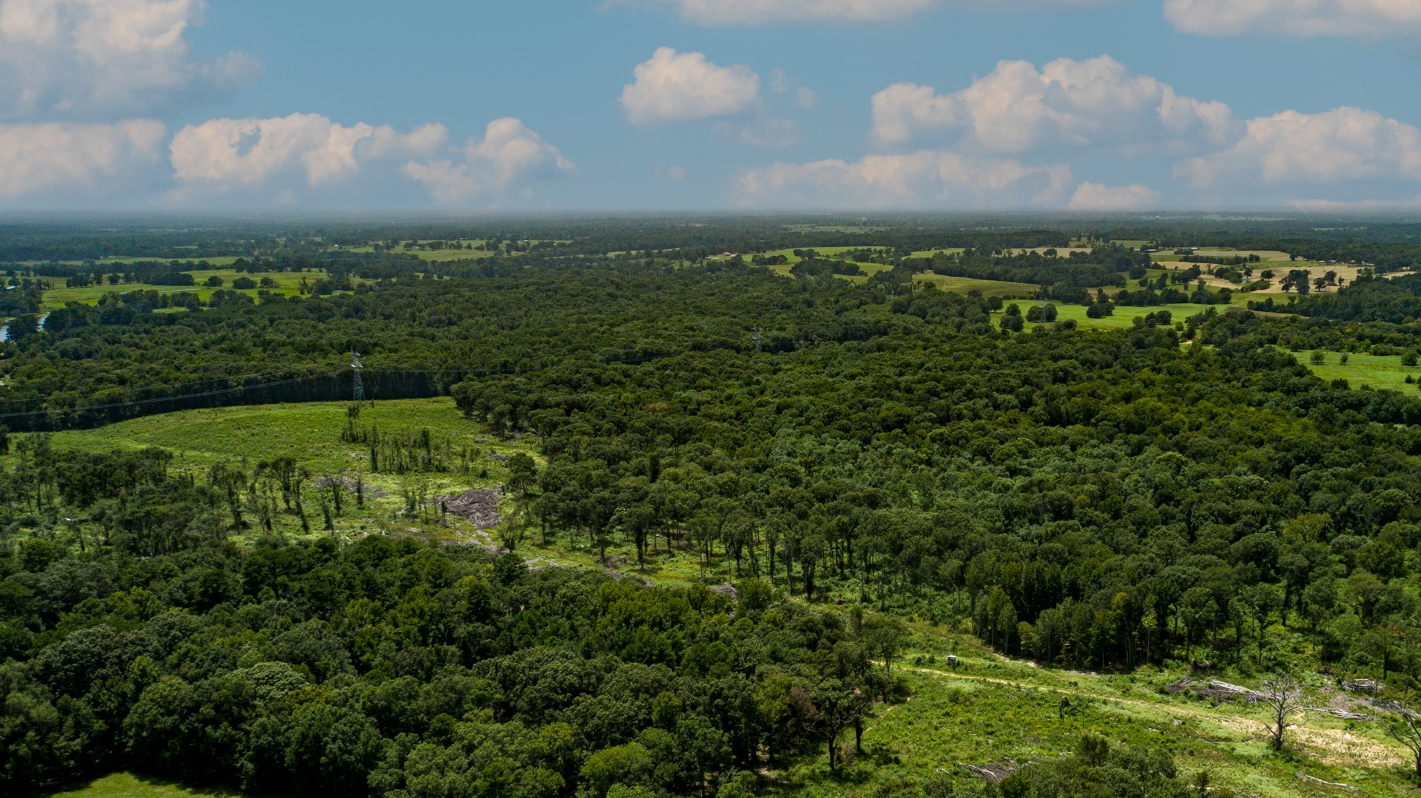TBD County Road 462, Mineola, TX, 75773