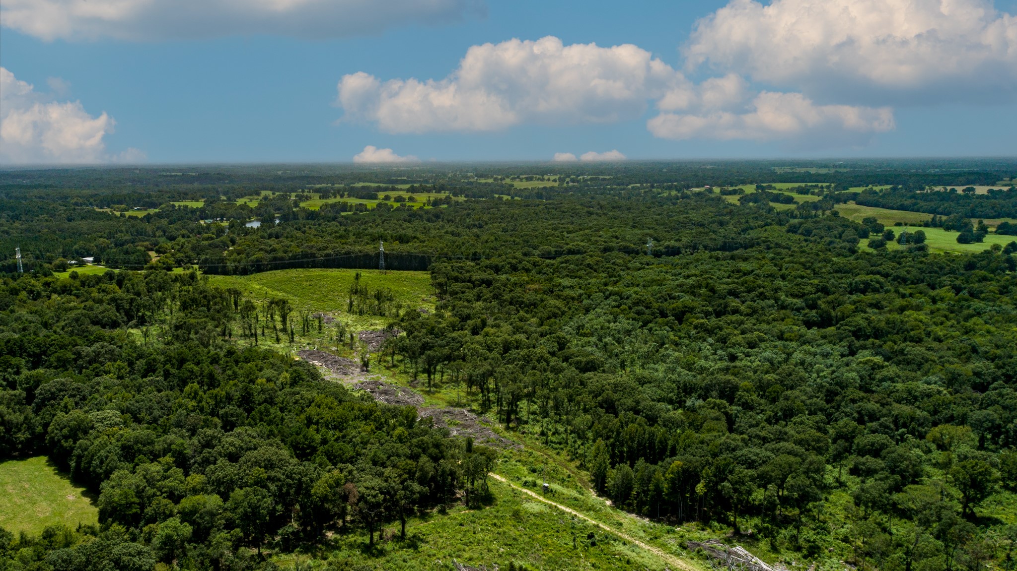 TBD County Road 462, Mineola, TX, 75773