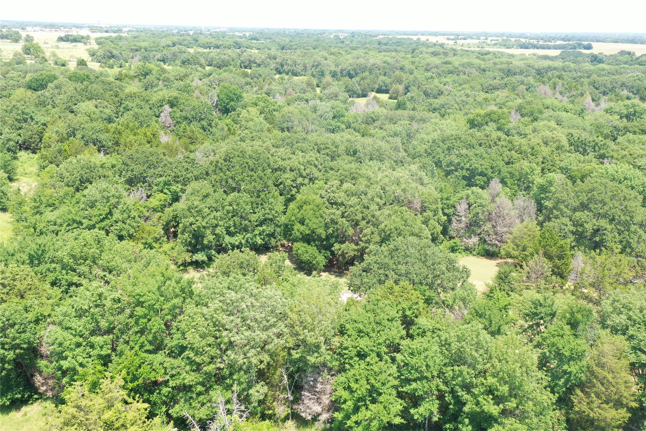 381 Paddock Drive UNIT&nbsp;B, Mabank, TX, 75156