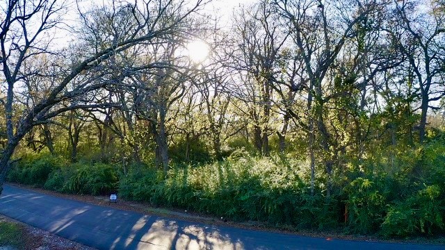 2107 Island, Bonham, TX, 75418