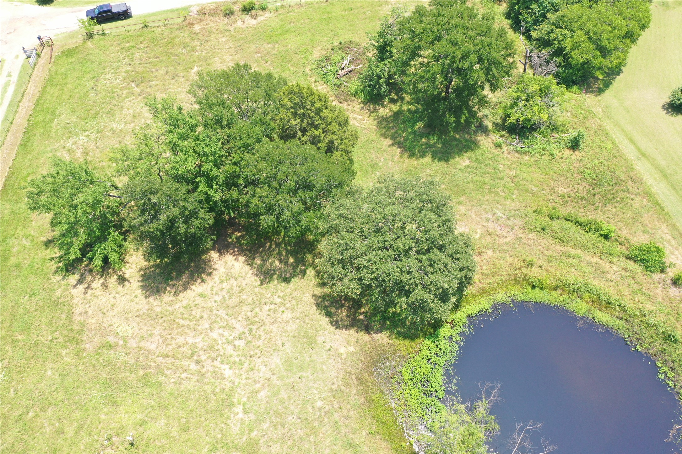 381 Paddock Drive UNIT&nbsp;D, Mabank, TX, 75156