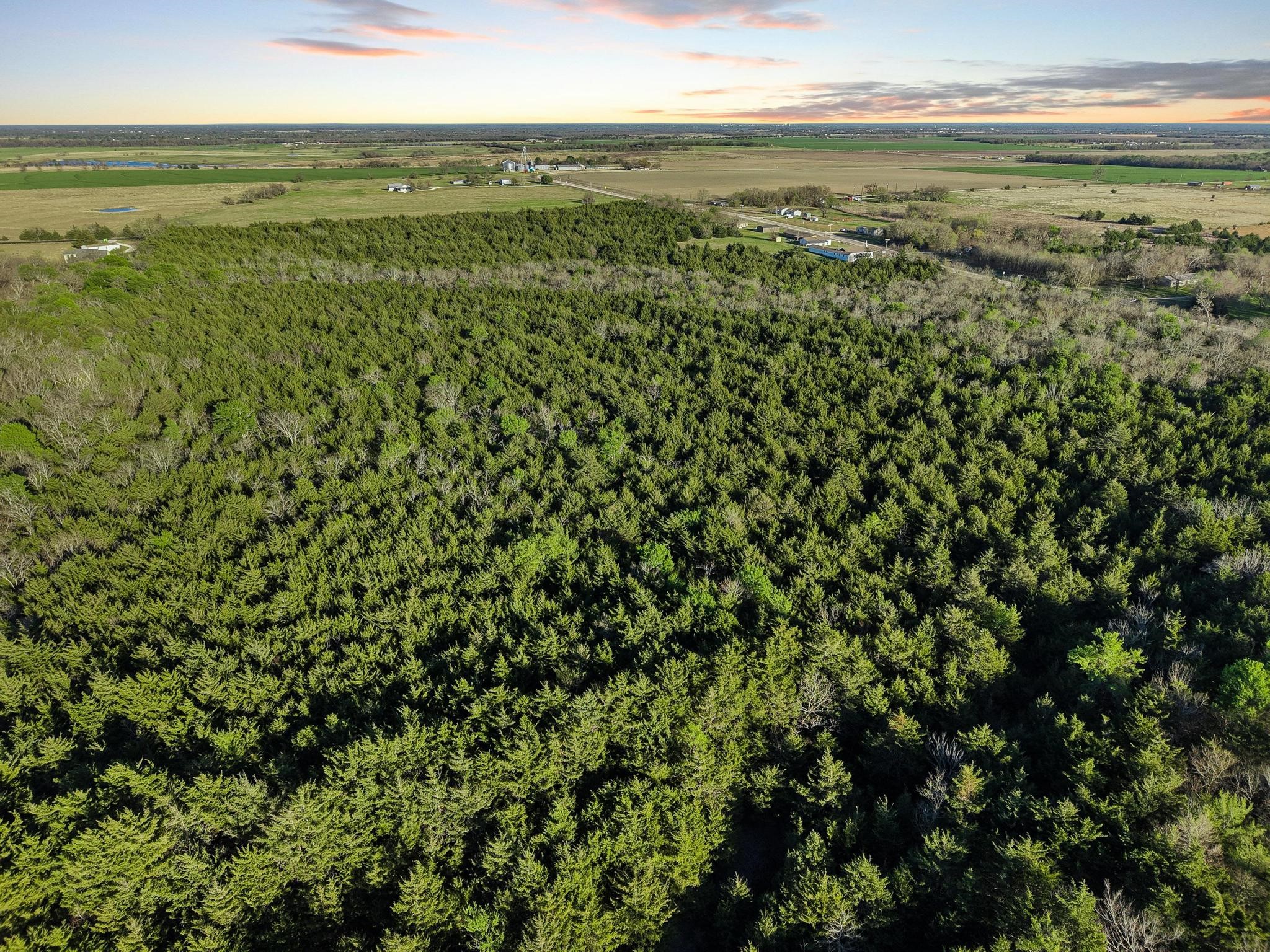 0000 County Road 4617, Wolfe City, TX, 75496