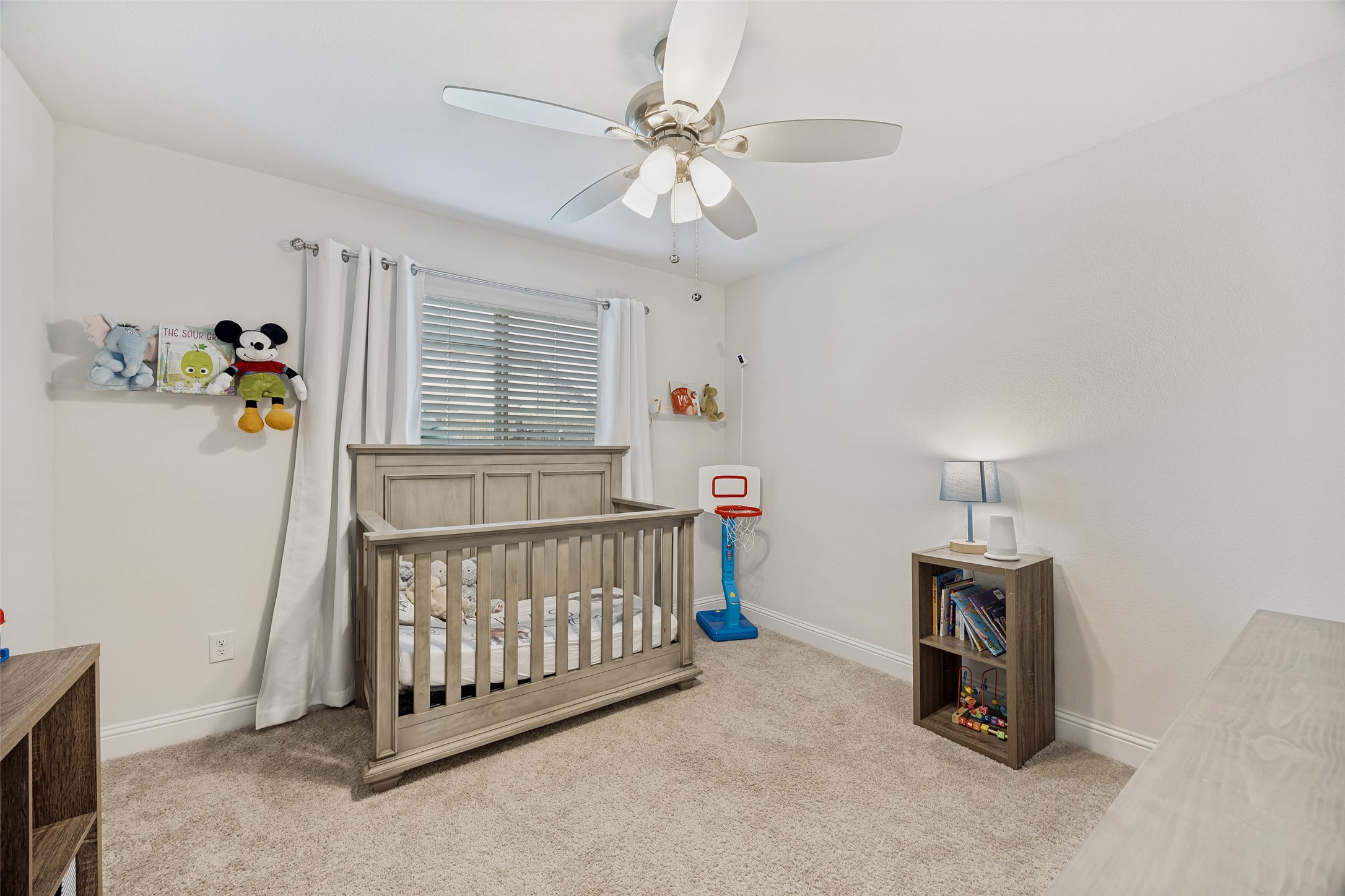1317 Sumner Street, Aubrey, TX, 76227