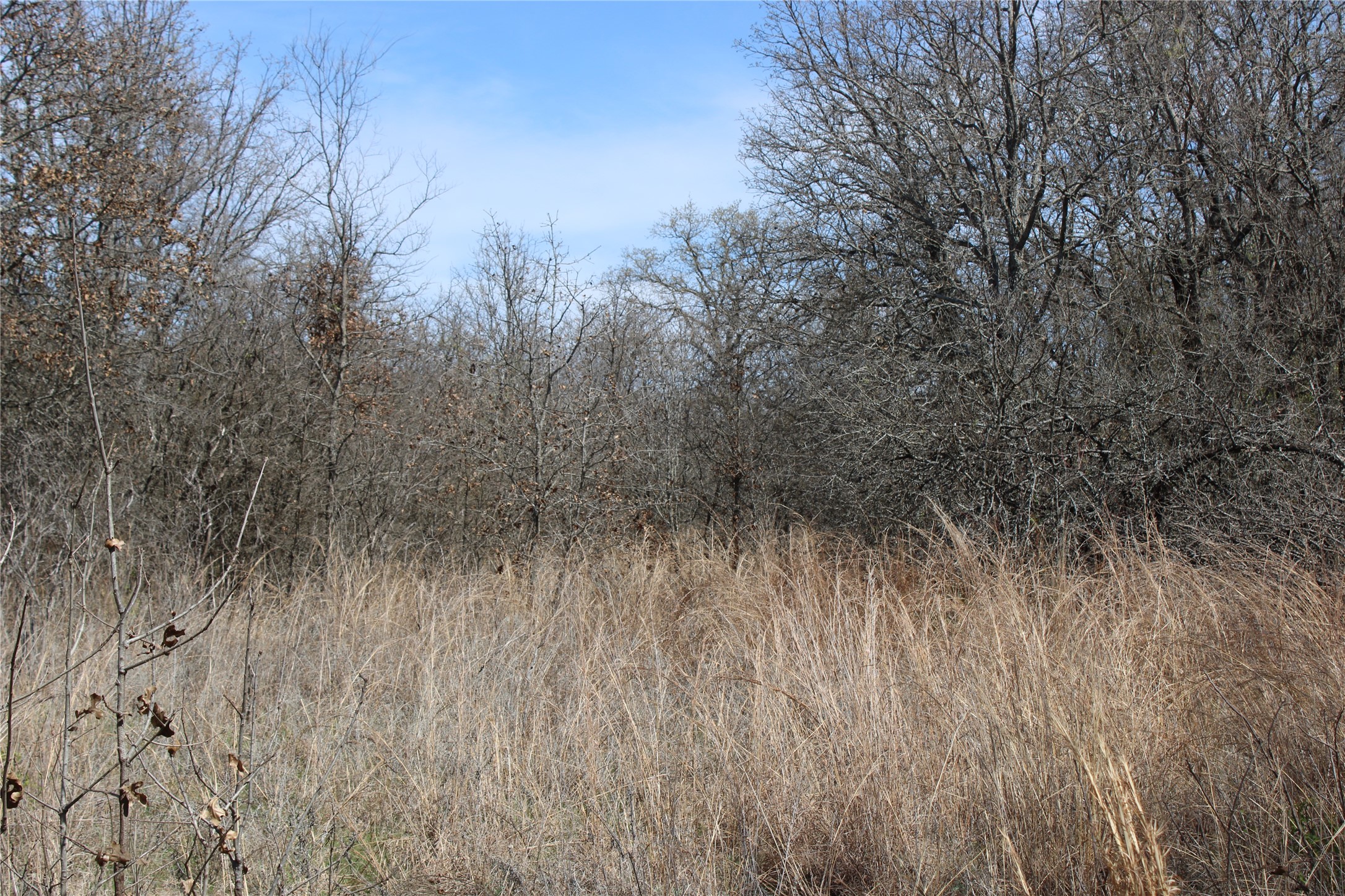 13 AC N Mason, Perrin, TX, 78486