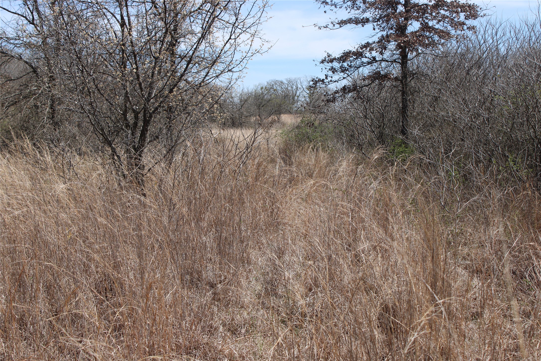 13 AC N Mason, Perrin, TX, 78486