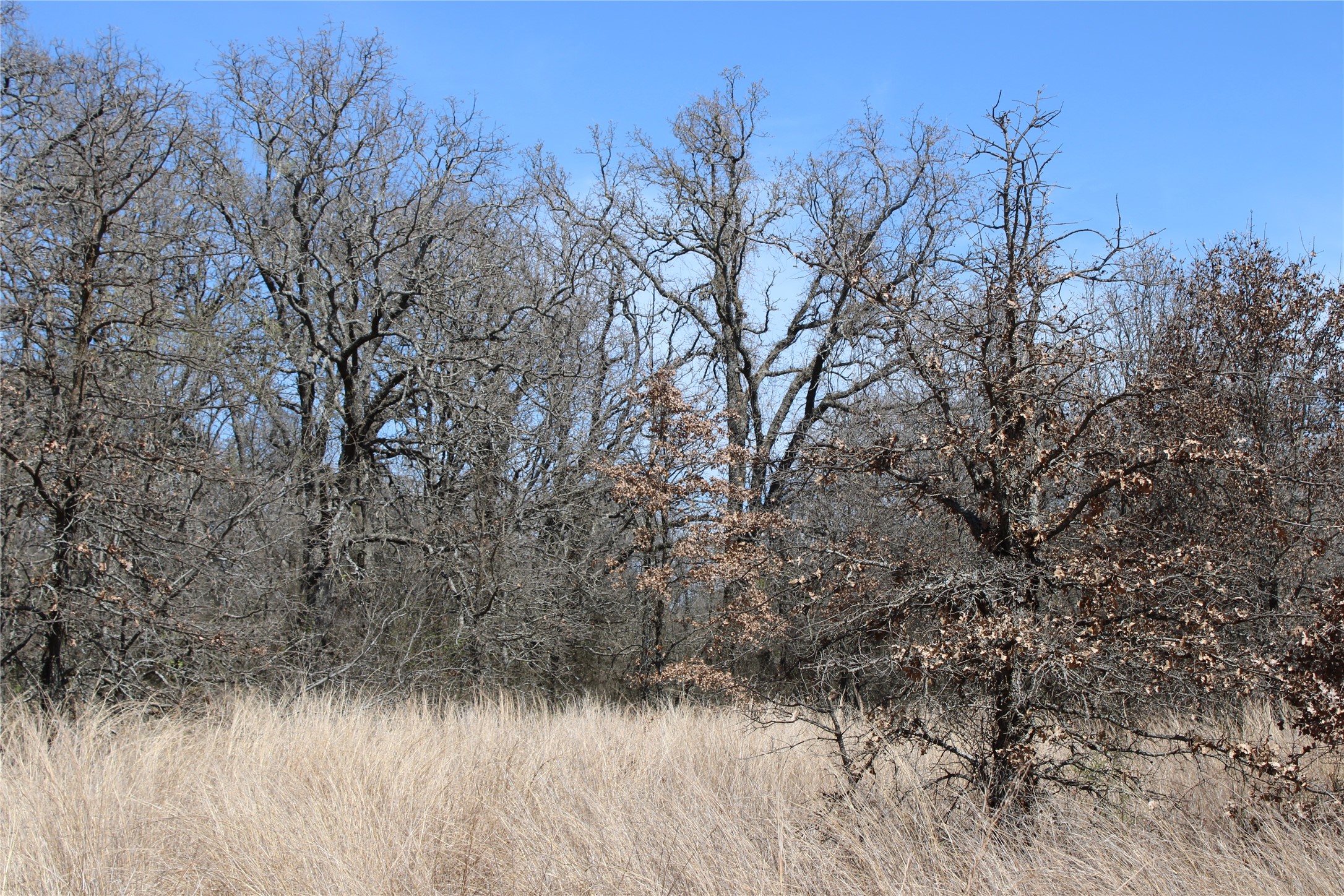 13 AC N Mason, Perrin, TX, 78486