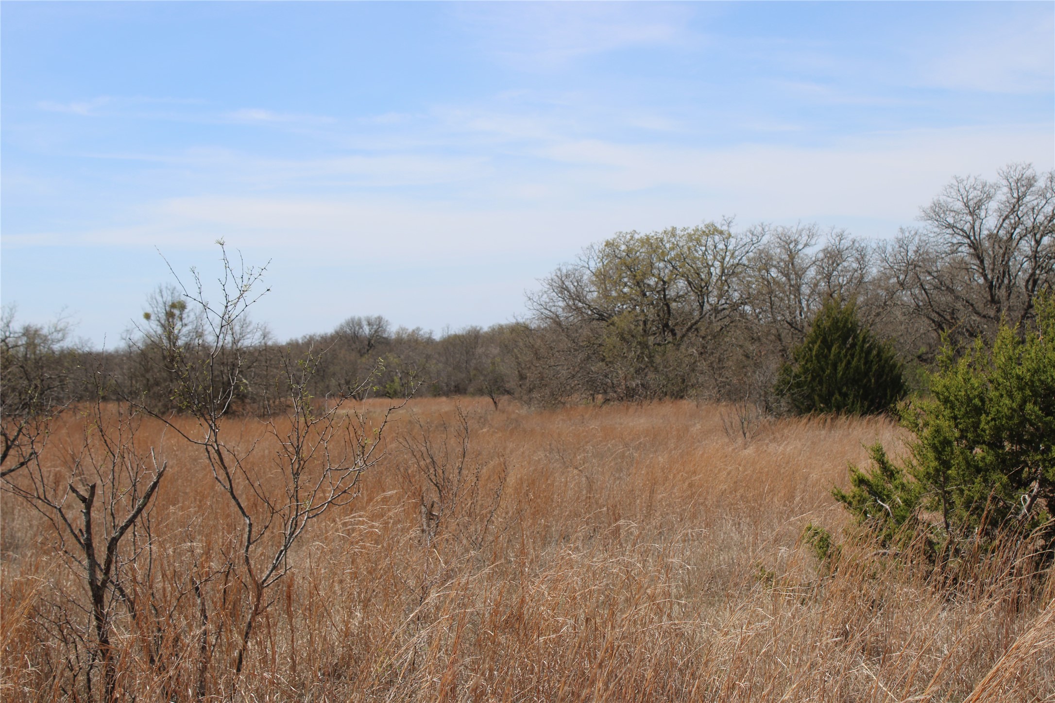 13 AC N Mason, Perrin, TX, 78486