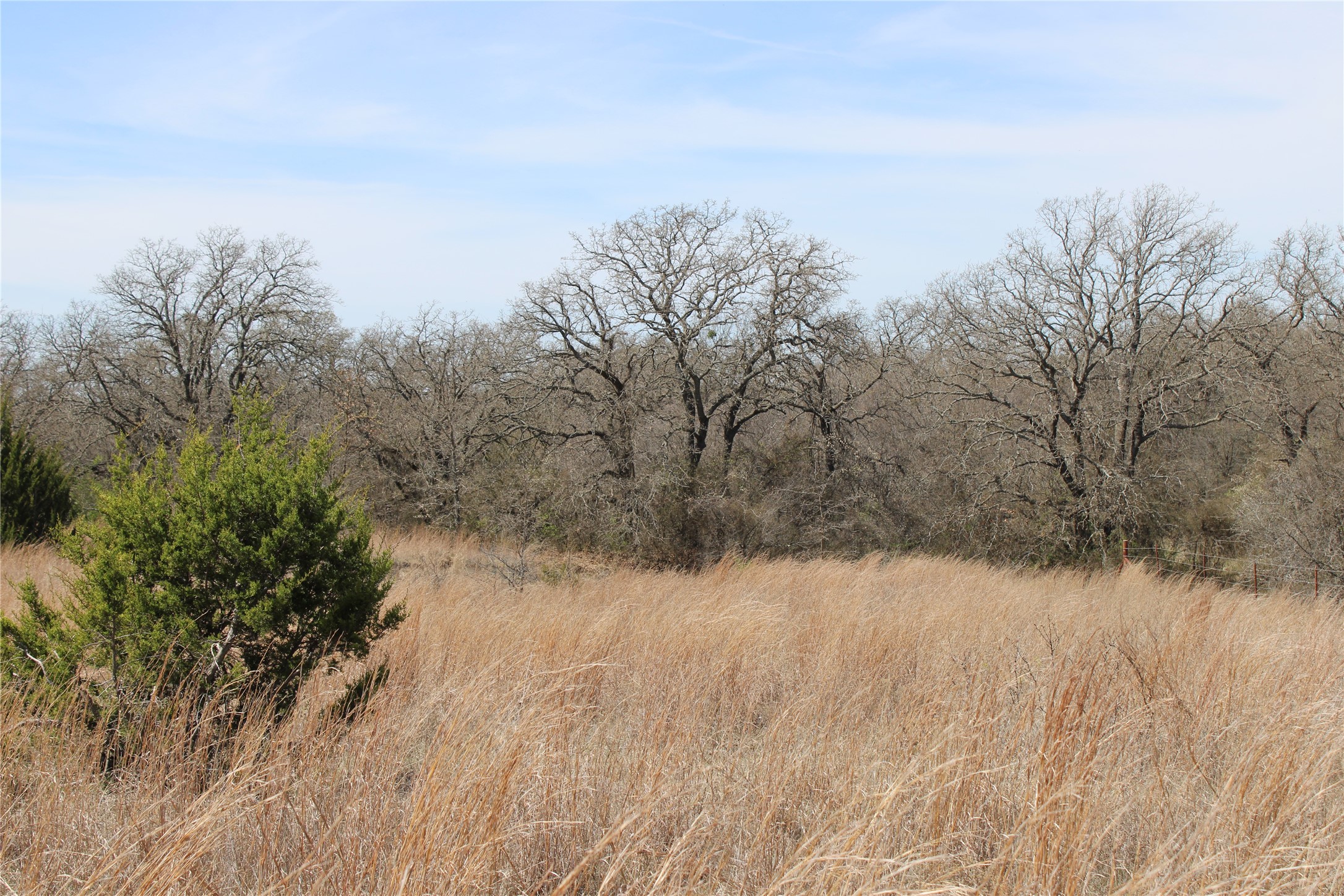 13 AC N Mason, Perrin, TX, 78486