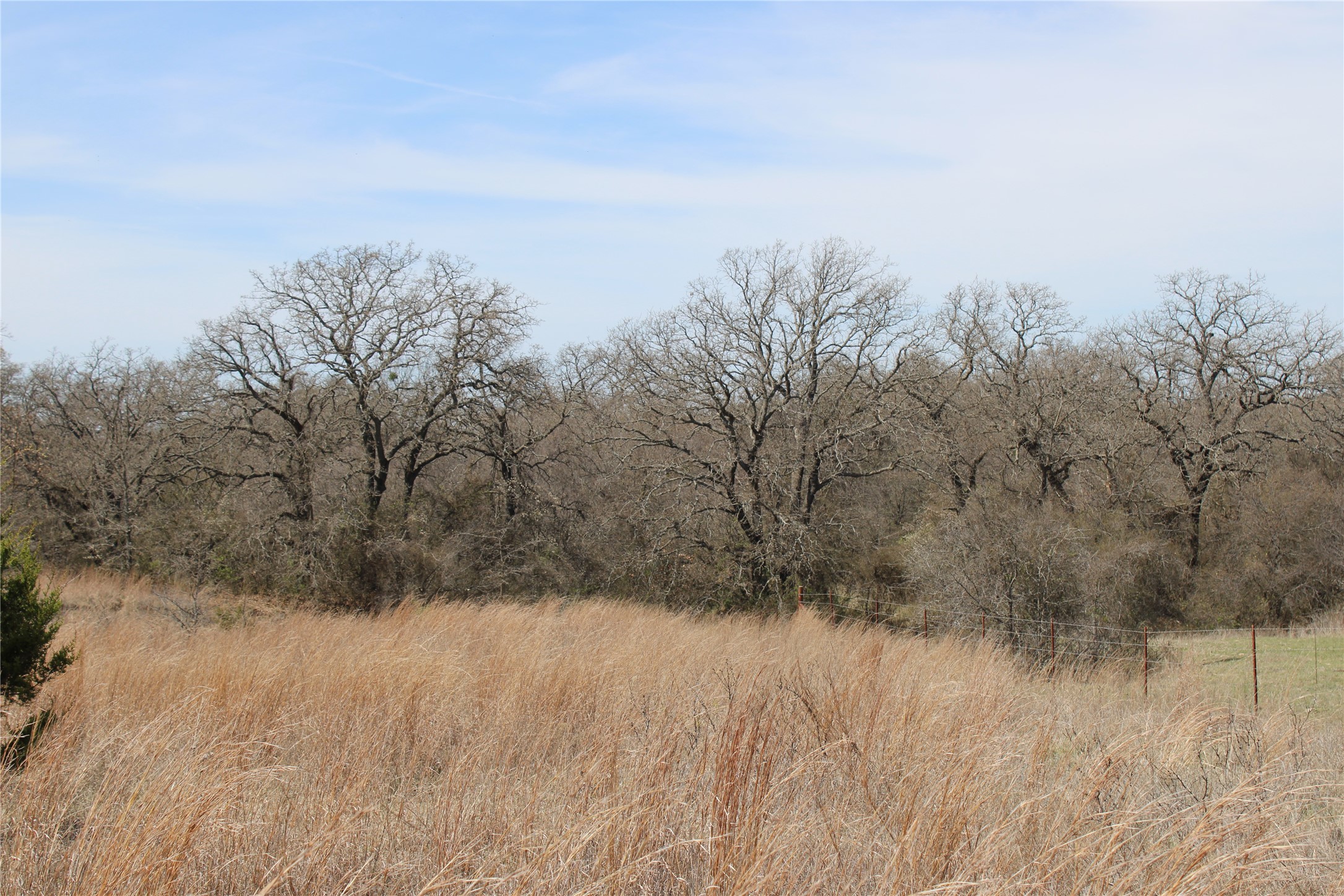 13 AC N Mason, Perrin, TX, 78486