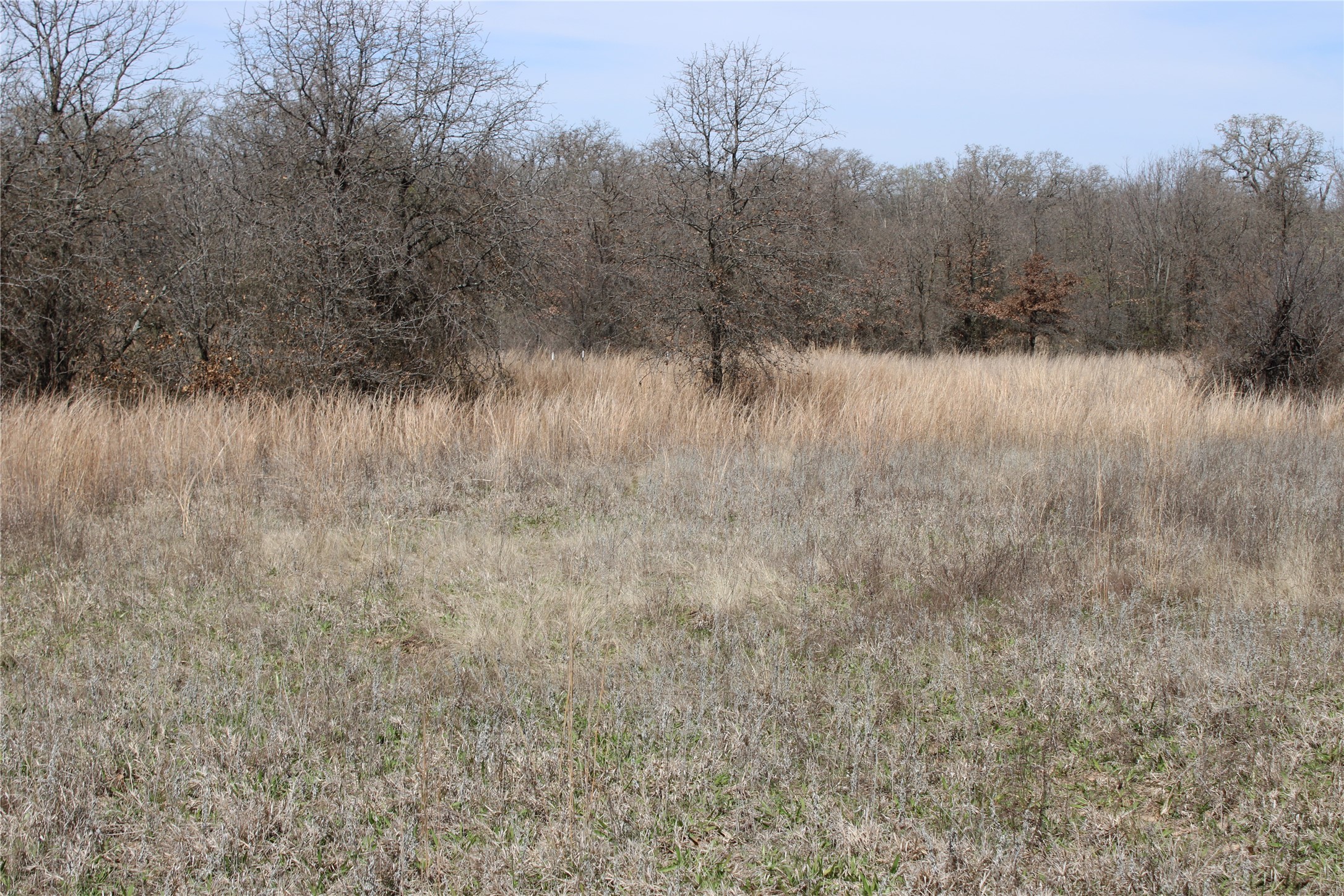 13 AC N Mason, Perrin, TX, 78486