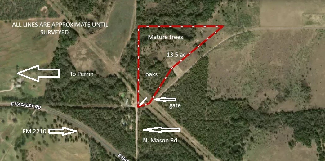 13 AC N Mason, Perrin, TX, 78486