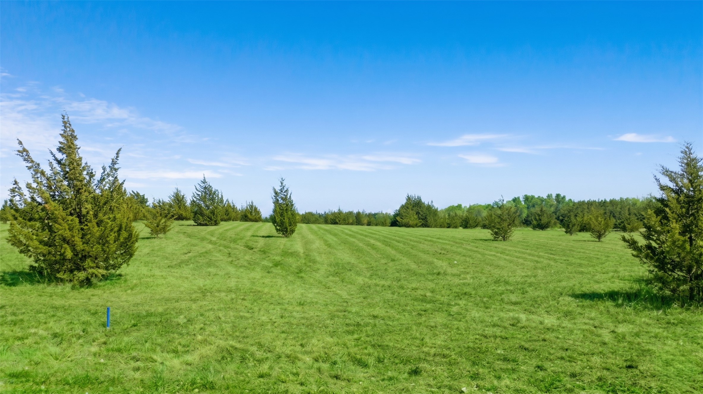 TBD LOT 2 COUNTY ROAD 43380, Paris, TX, 75462