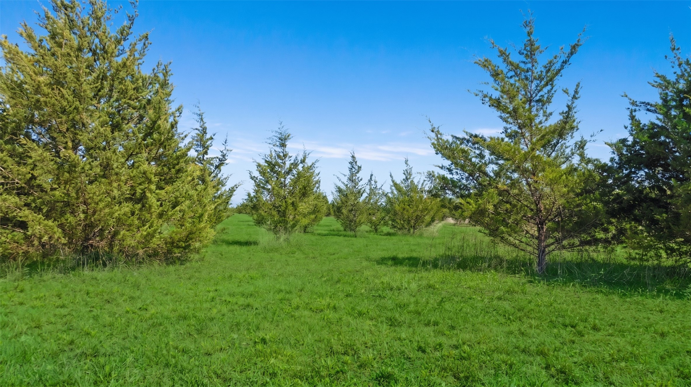 TBD LOT 2 COUNTY ROAD 43380, Paris, TX, 75462