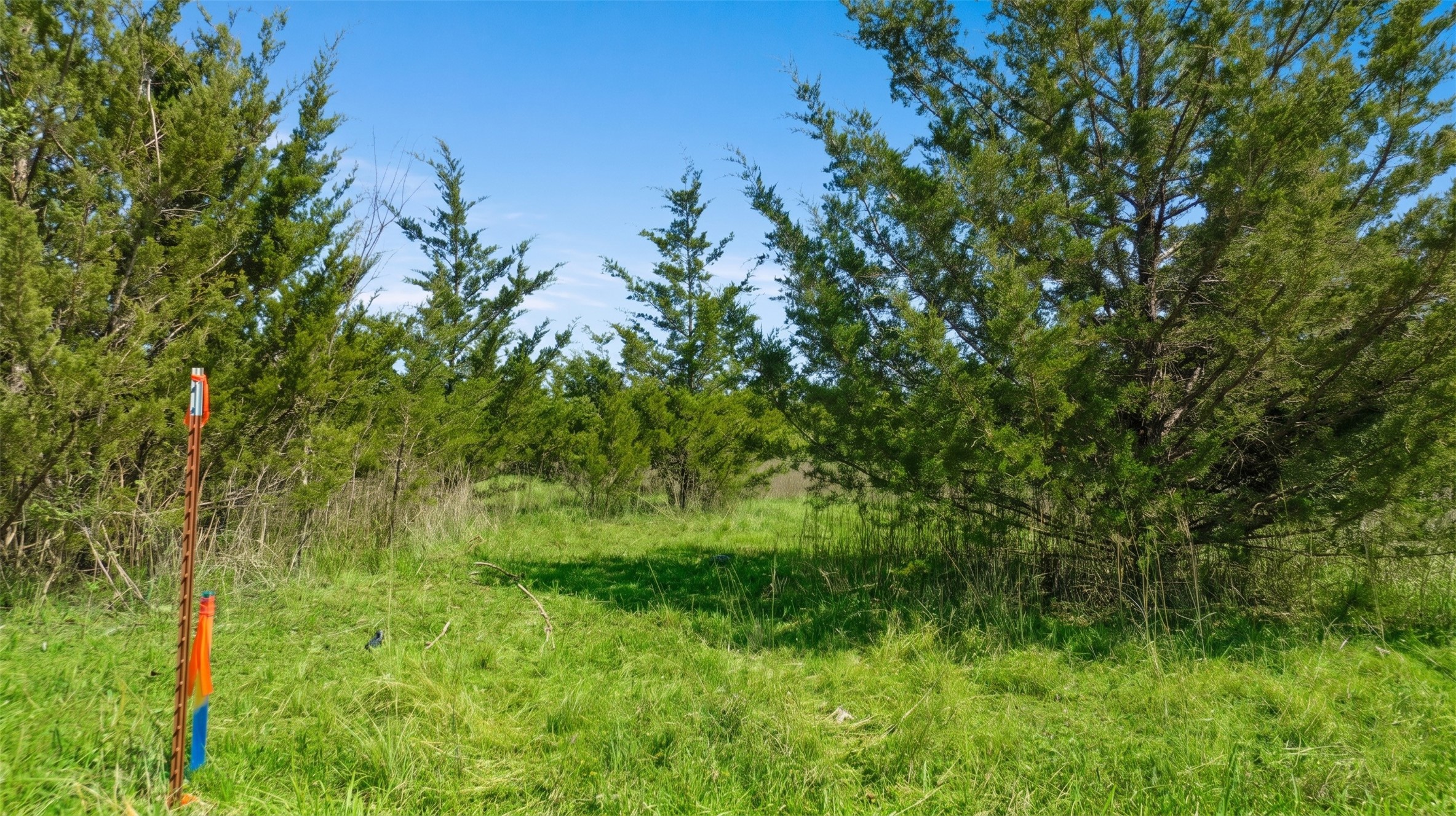 TBD LOT 2 COUNTY ROAD 43380, Paris, TX, 75462
