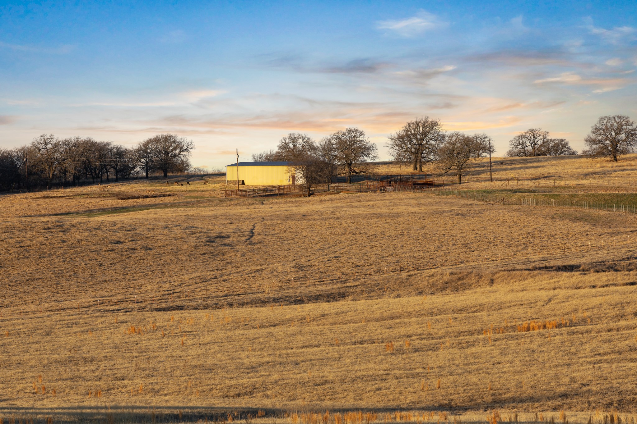 TBD Odom Road, Nocona, TX, 76255