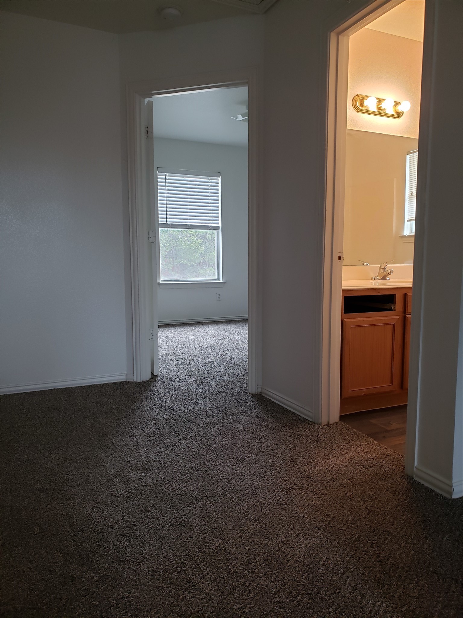 13631 Biggs Street, Dallas, TX, 75253