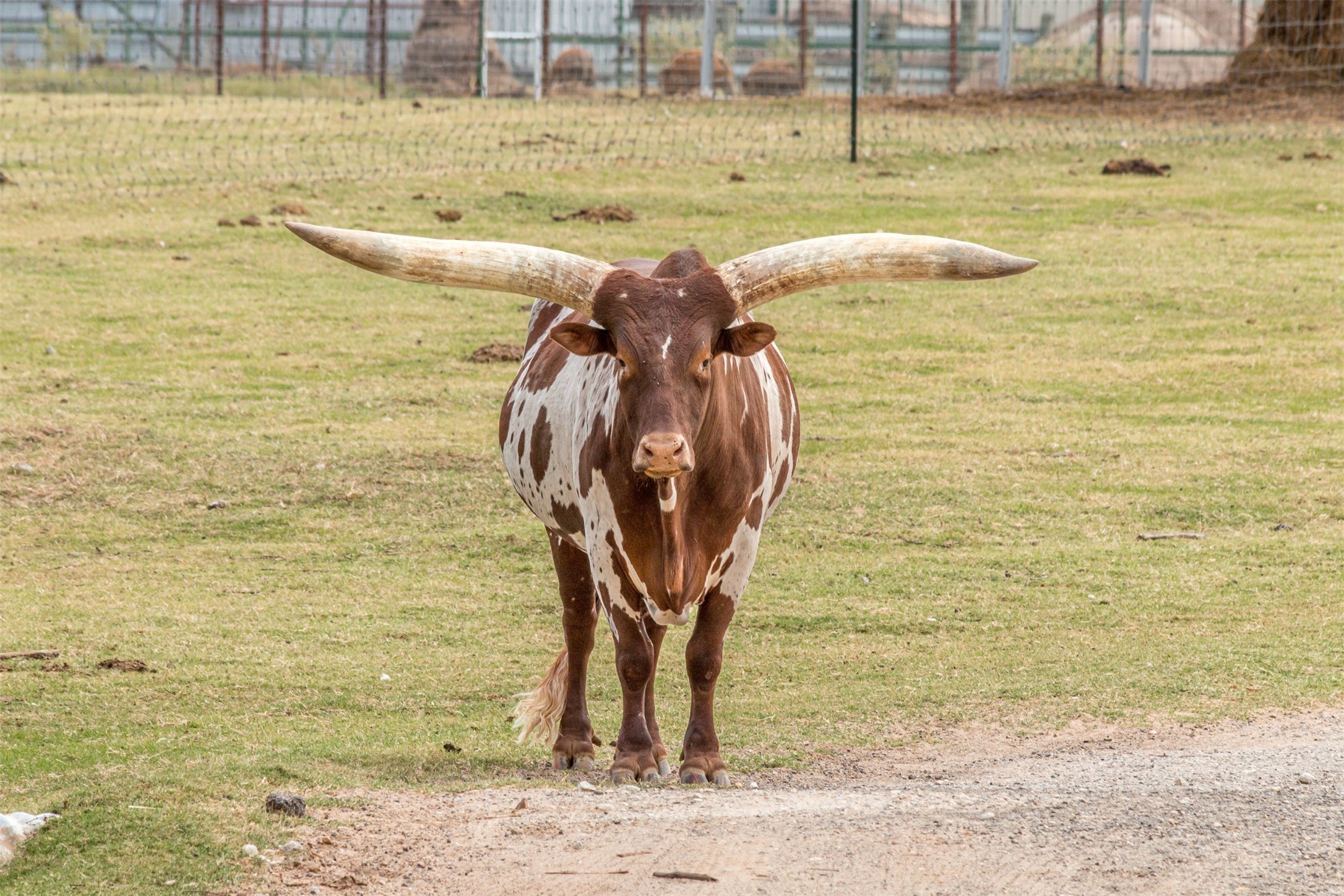 TBD W HWY 79, Franklin, TX, 77856