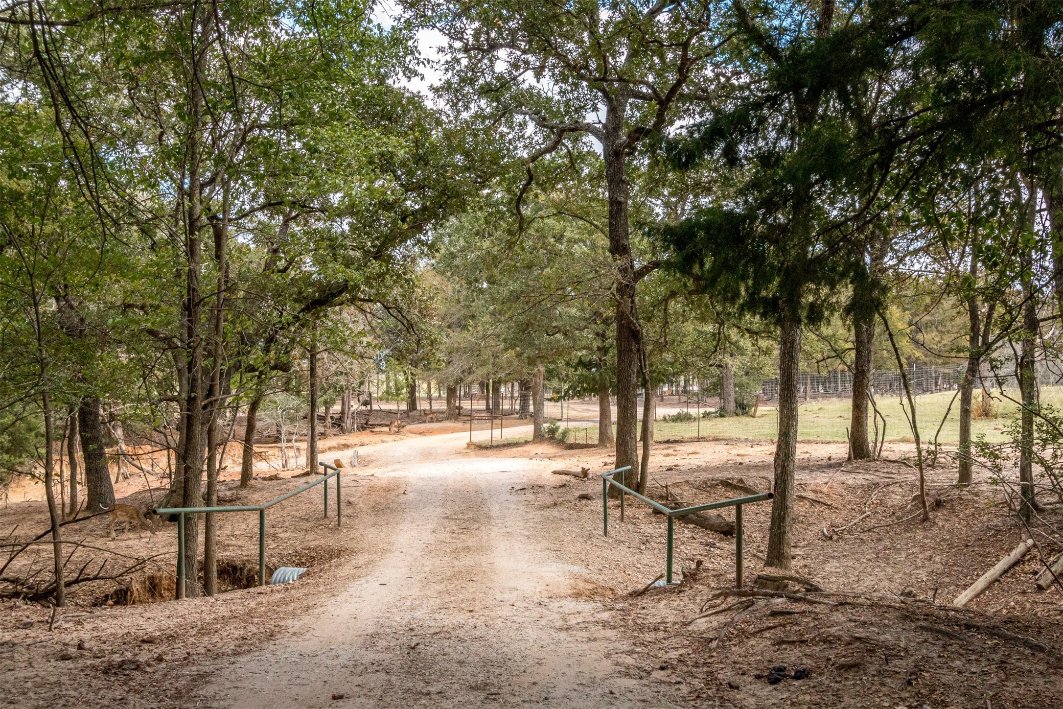 TBD W HWY 79, Franklin, TX, 77856