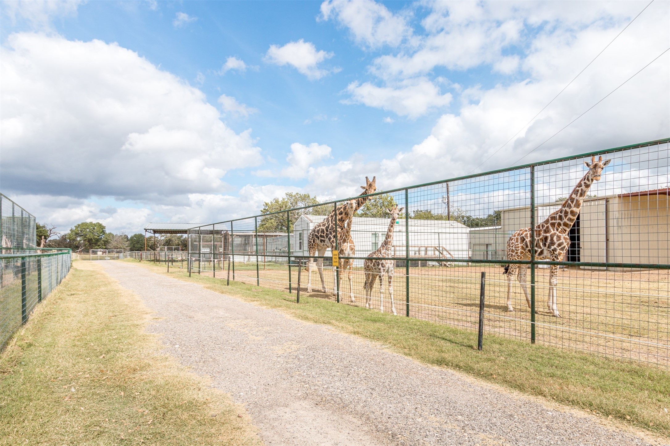 TBD W HWY 79, Franklin, TX, 77856