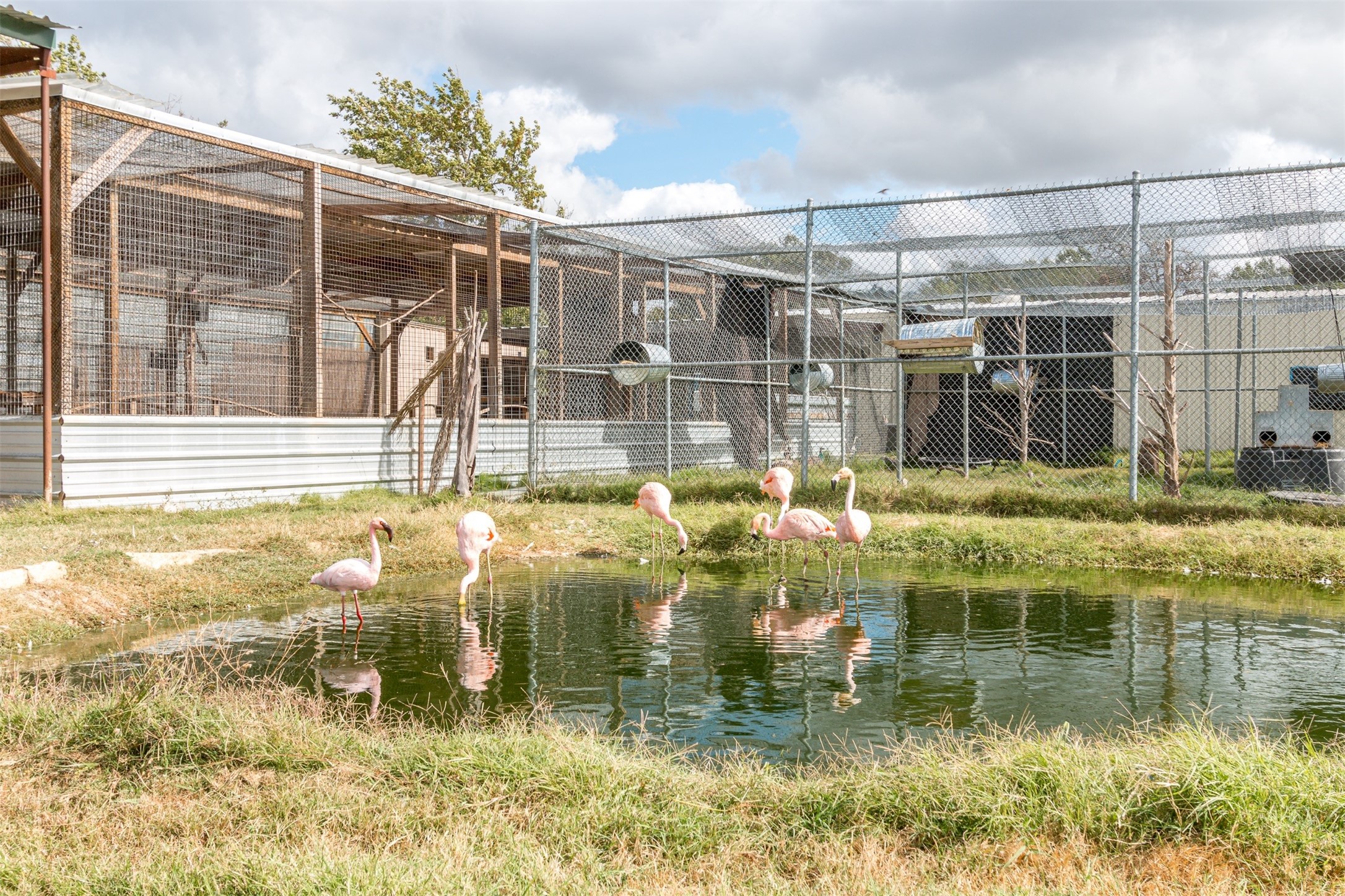 TBD W HWY 79, Franklin, TX, 77856